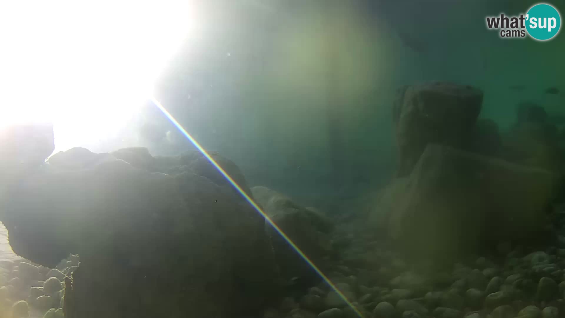 Aquario marino esterno –  Rogoznica livecam Croazia