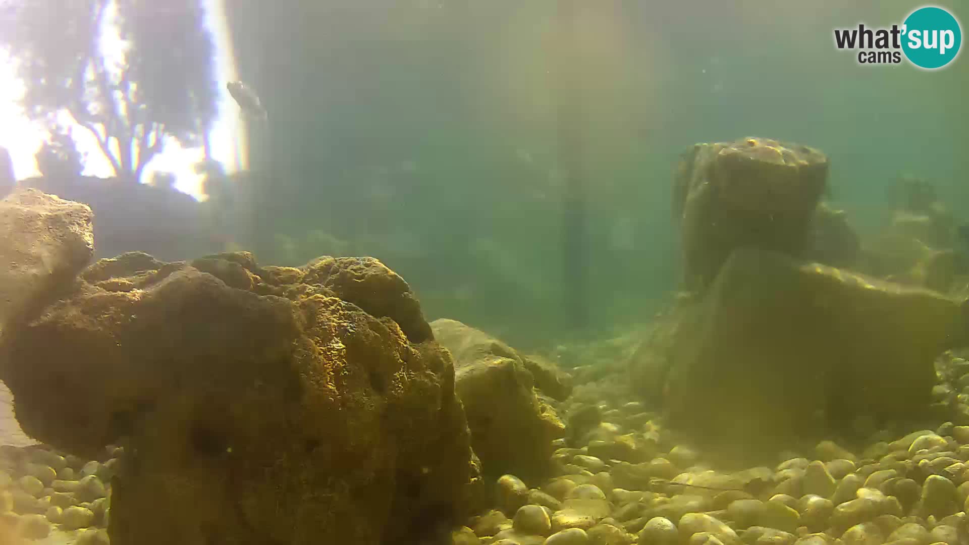 Marine Aquarium im Freien Rogoznica webcam Kroatien