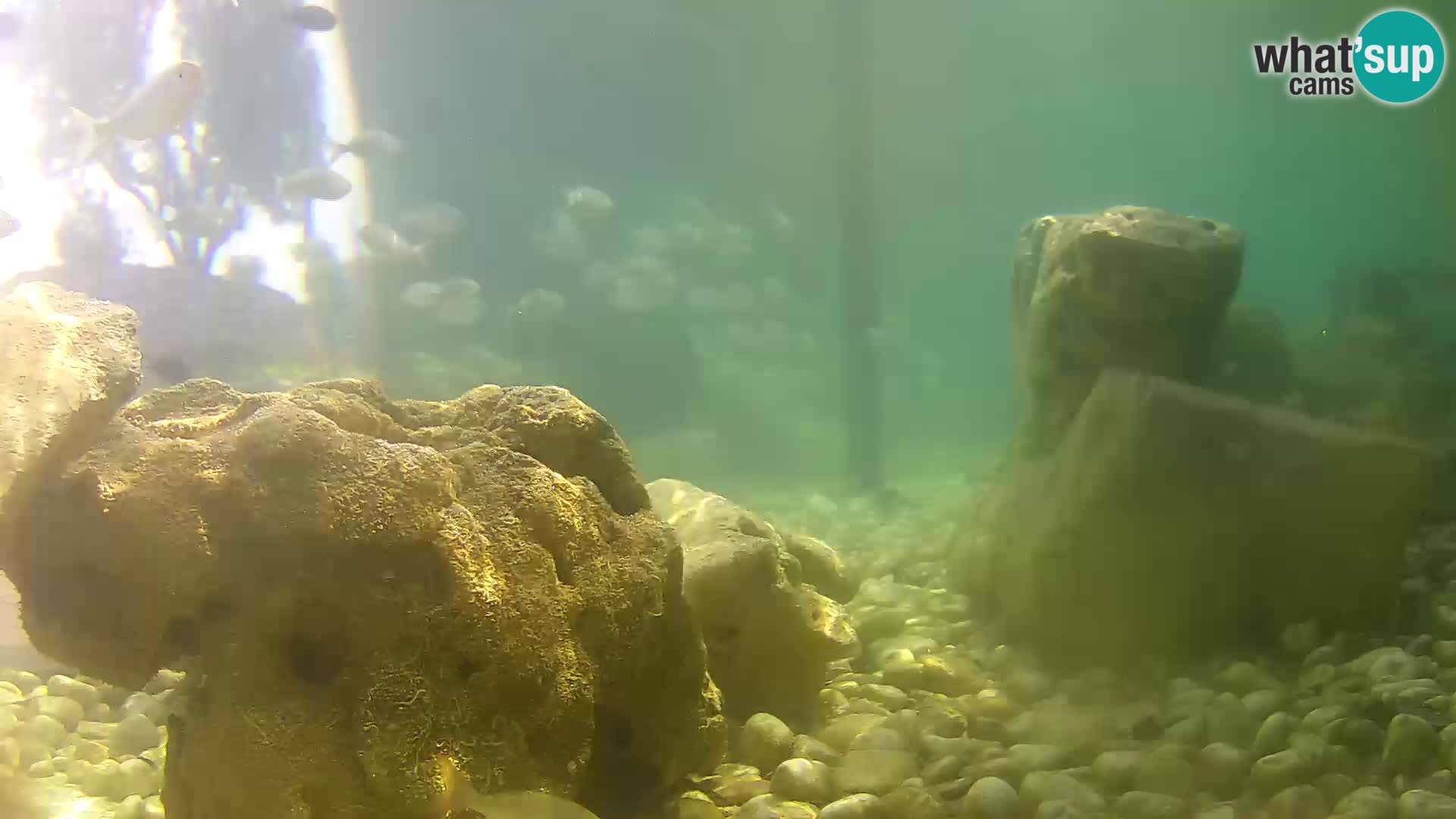 Marine Aquarium im Freien Rogoznica webcam Kroatien