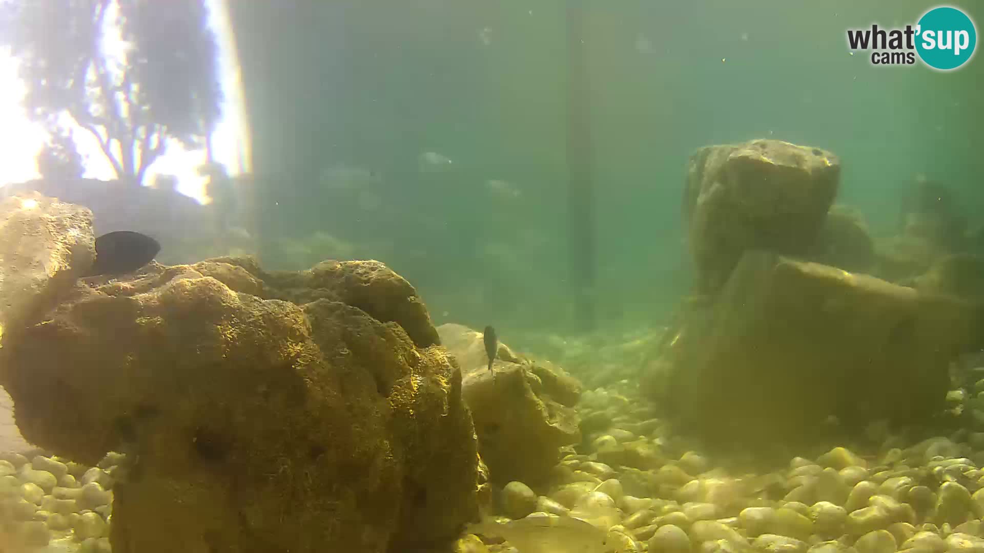 Marine Aquarium im Freien Rogoznica webcam Kroatien