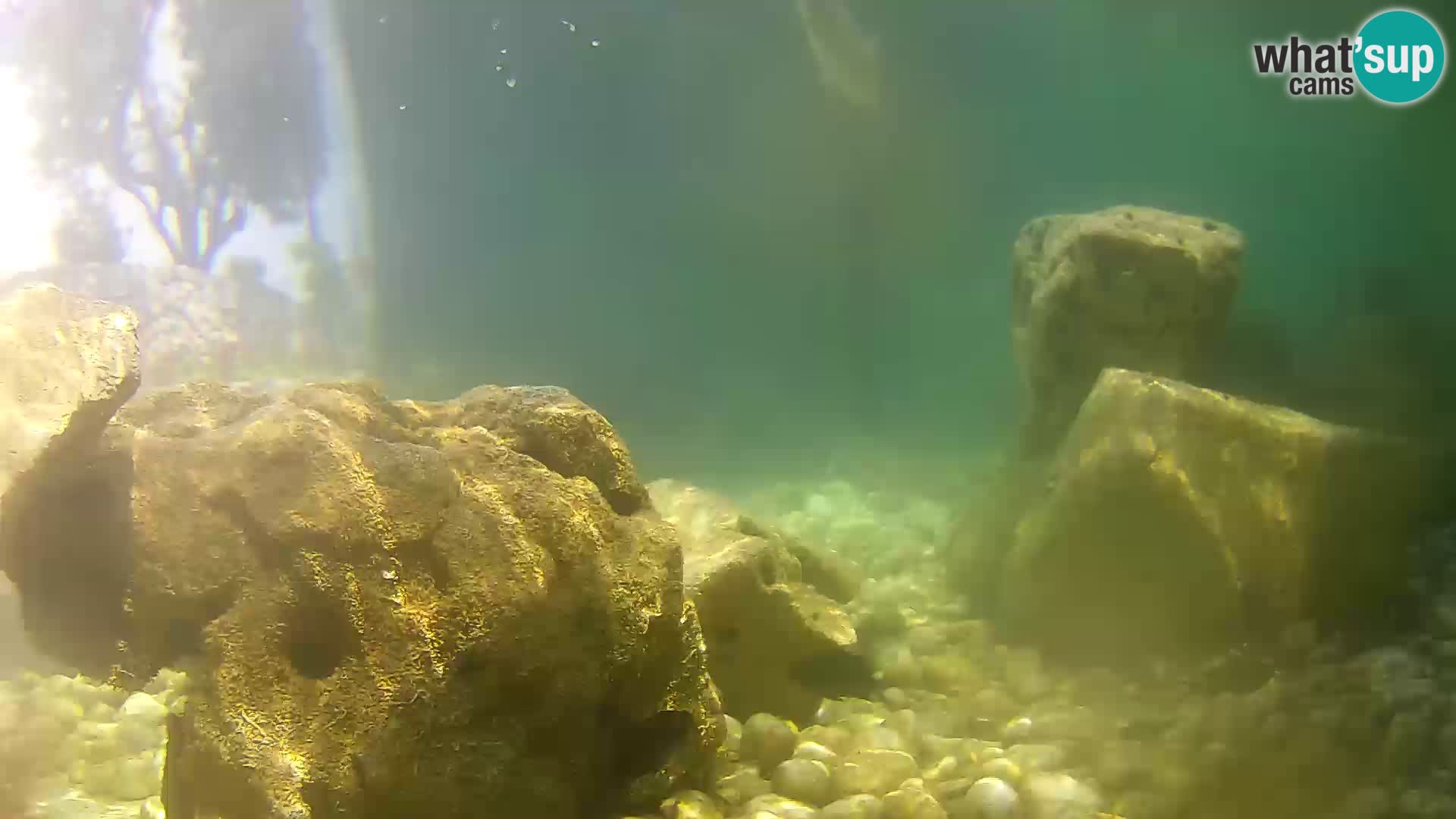 Aquario marino esterno –  Rogoznica livecam Croazia