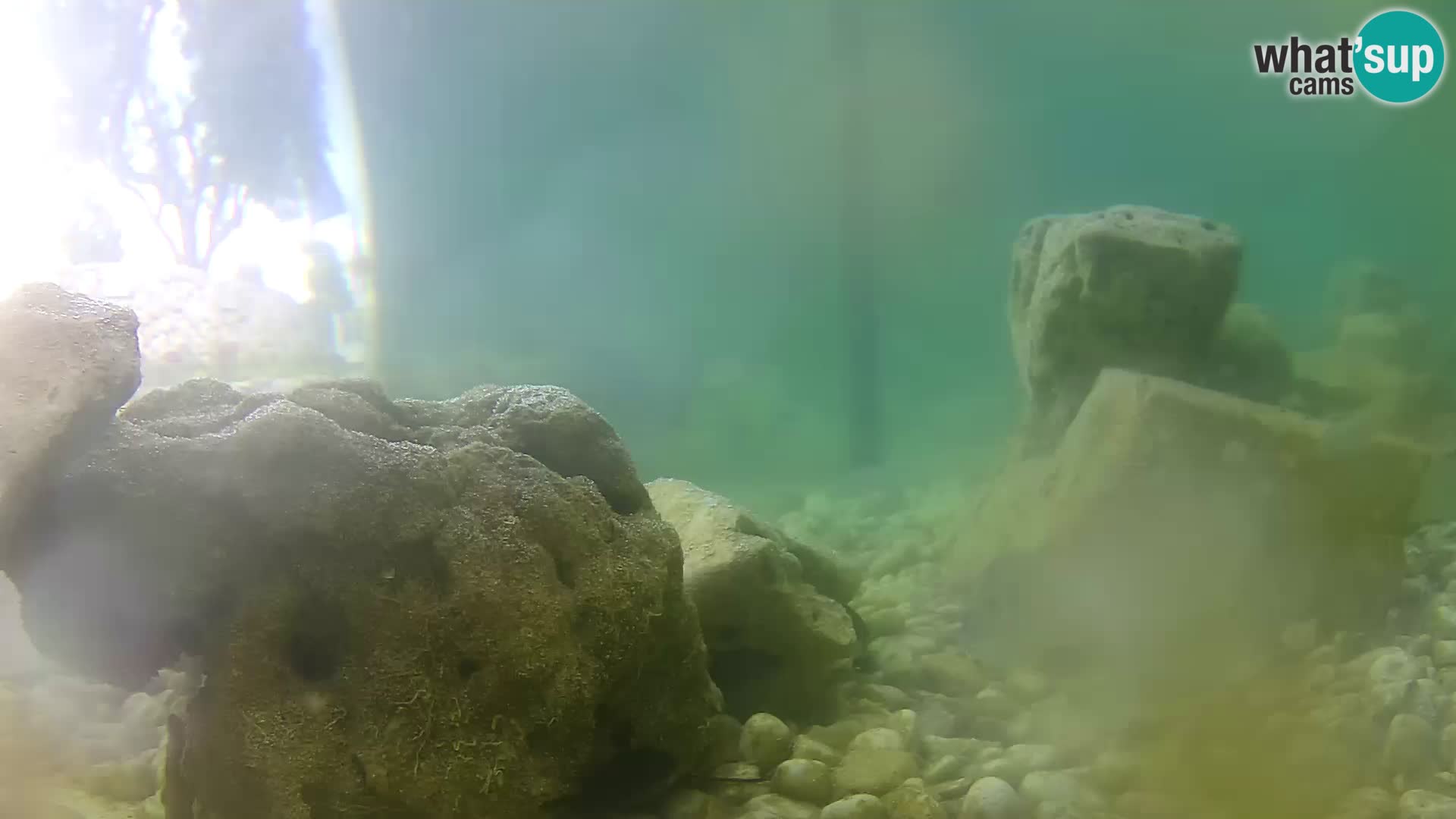 Webcam de l’aquarium marin extérieur de Rogoznica Croatie