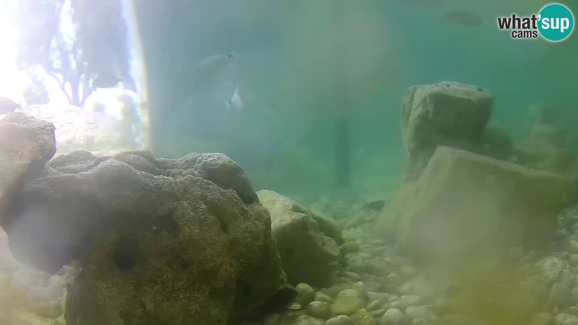 Webcam de l’aquarium marin extérieur de Rogoznica Croatie