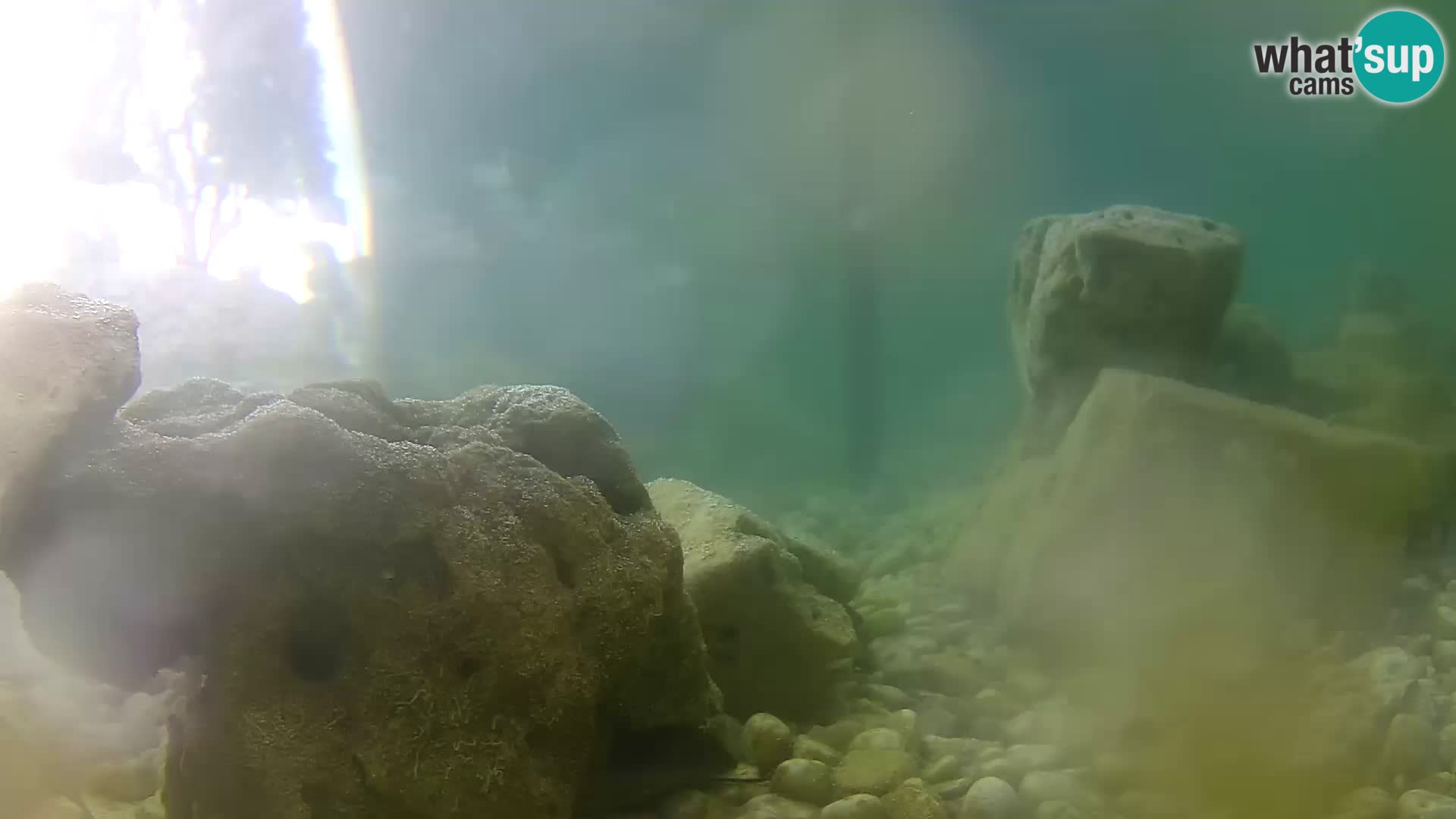 Webcam de l’aquarium marin extérieur de Rogoznica Croatie