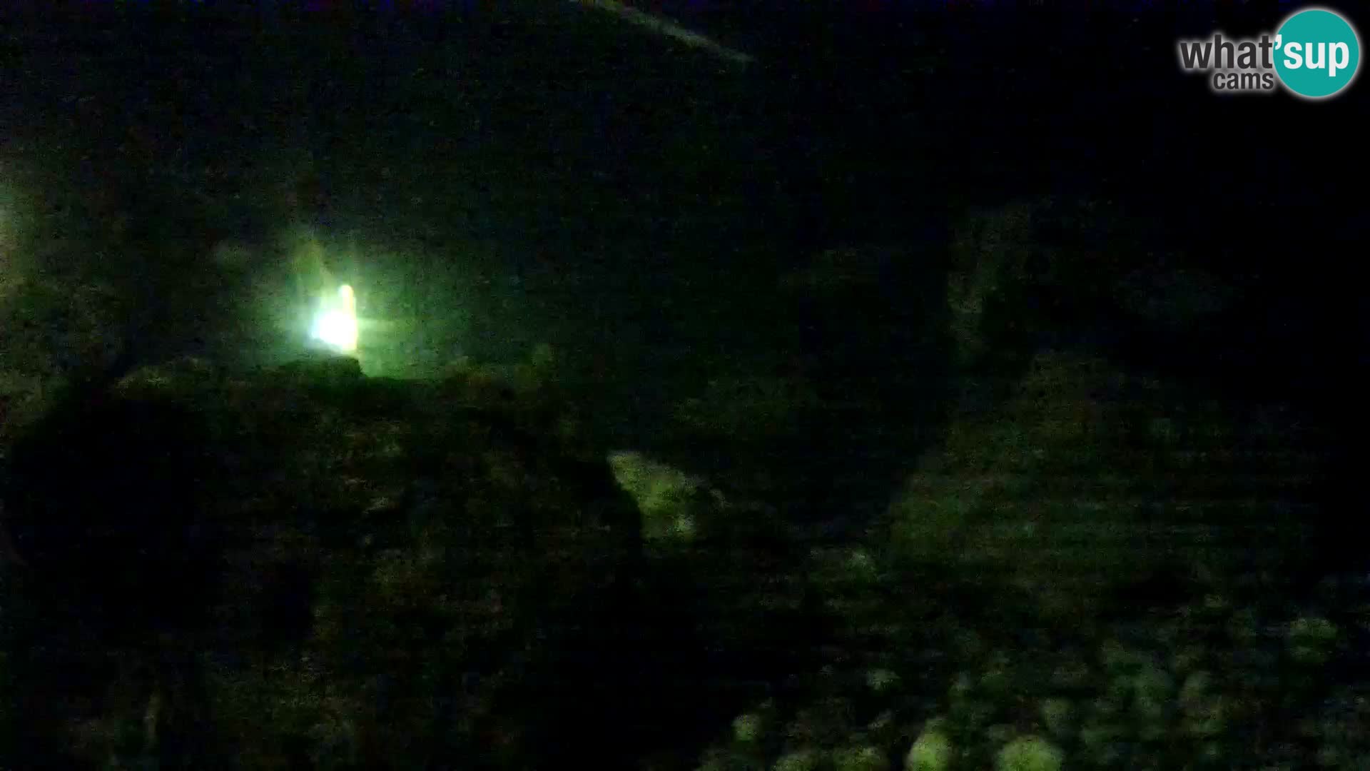 Acuario marino al aire libre Rogoznica webcam Croacia