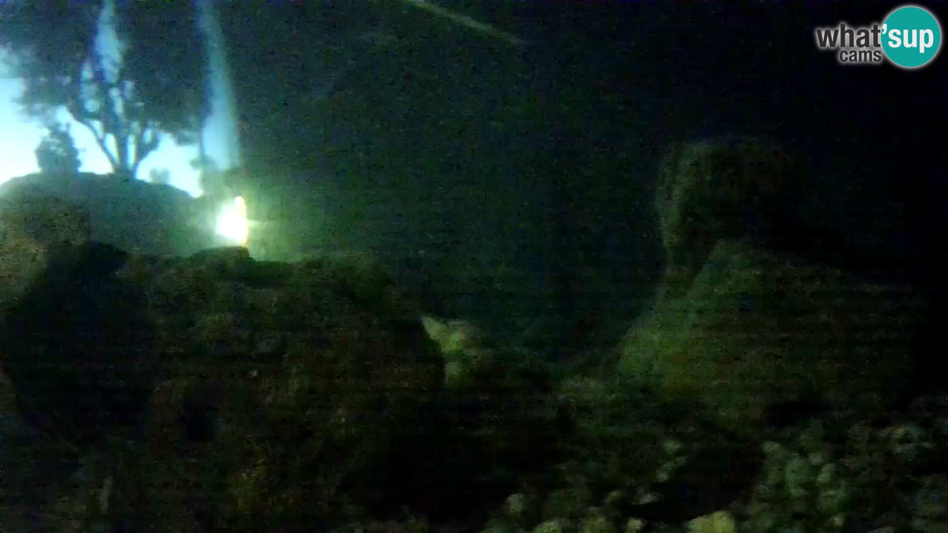 Acuario marino al aire libre Rogoznica webcam Croacia