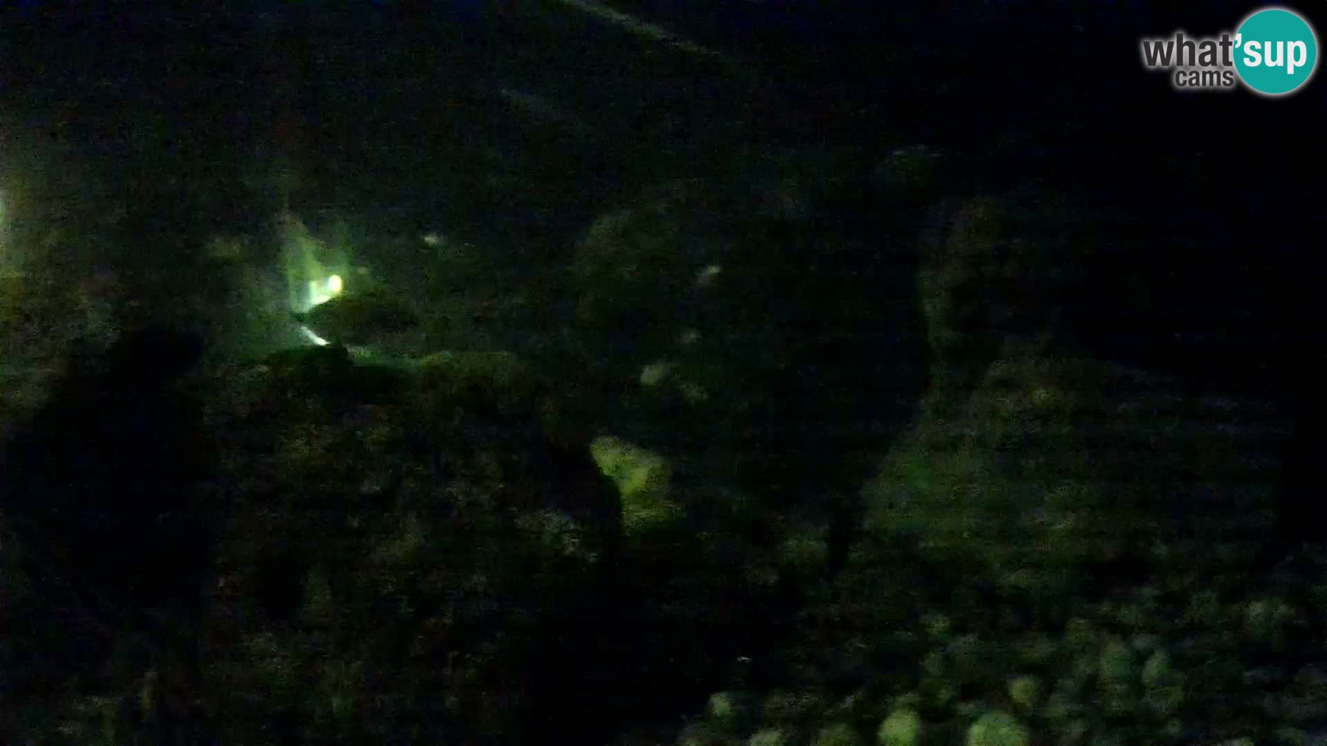 Outdoor Marine Aquarium Rogoznica webcam Croatia