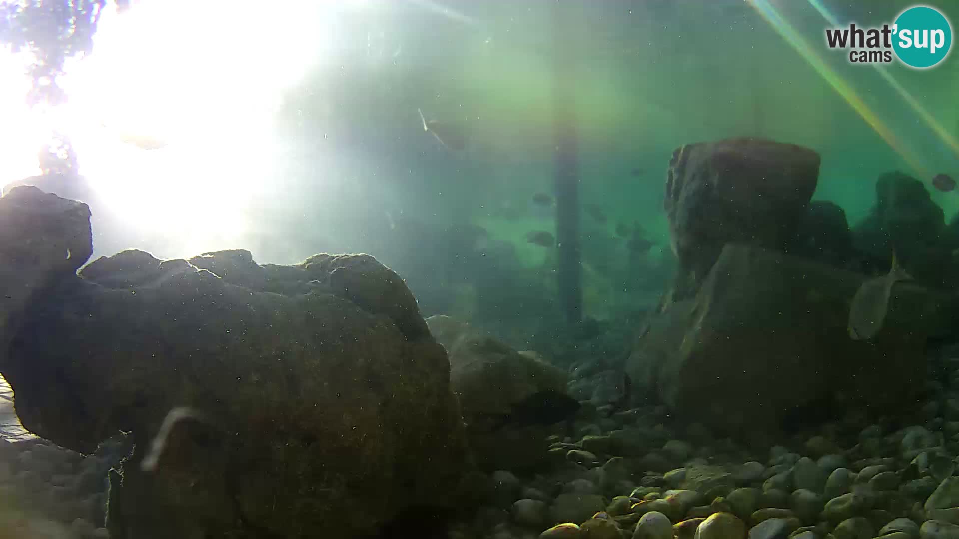 Marine Aquarium im Freien Rogoznica webcam Kroatien