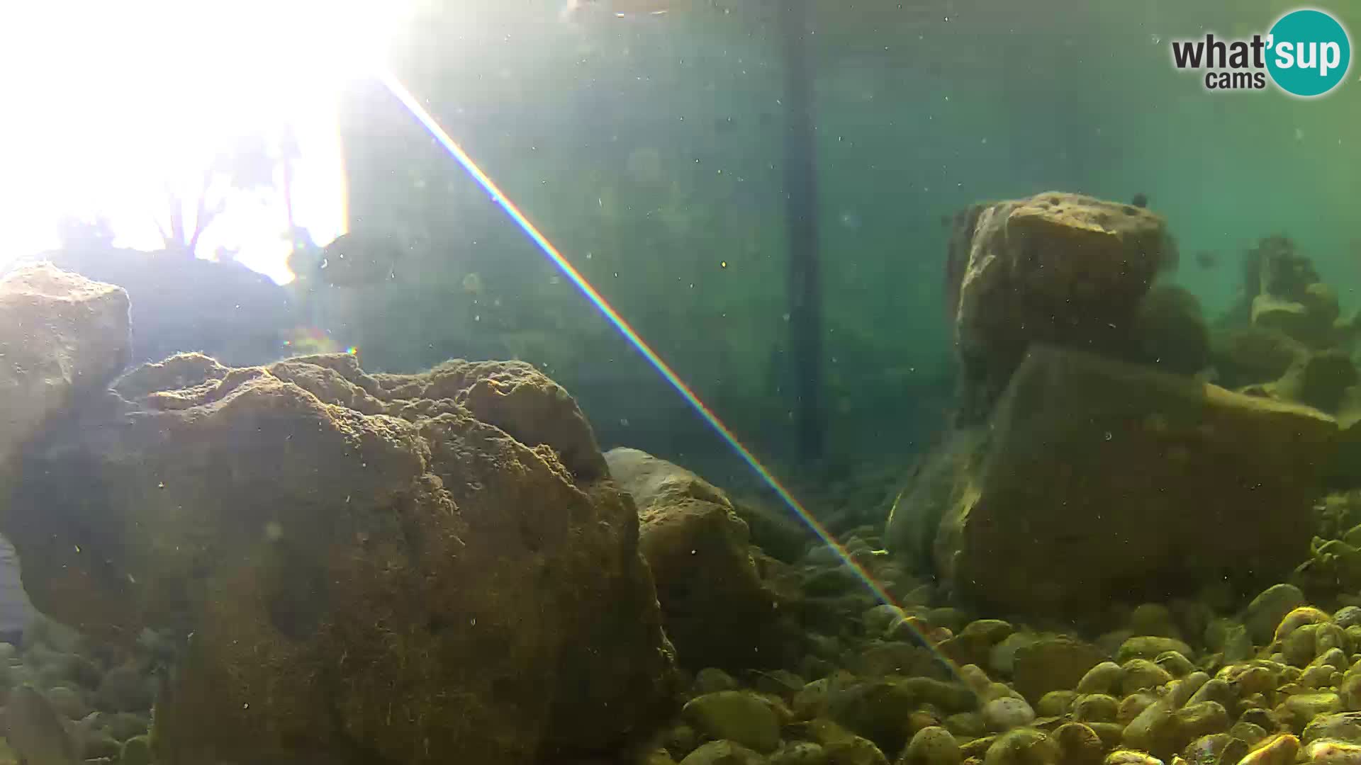 Outdoor Marine Aquarium Rogoznica webcam Croatia