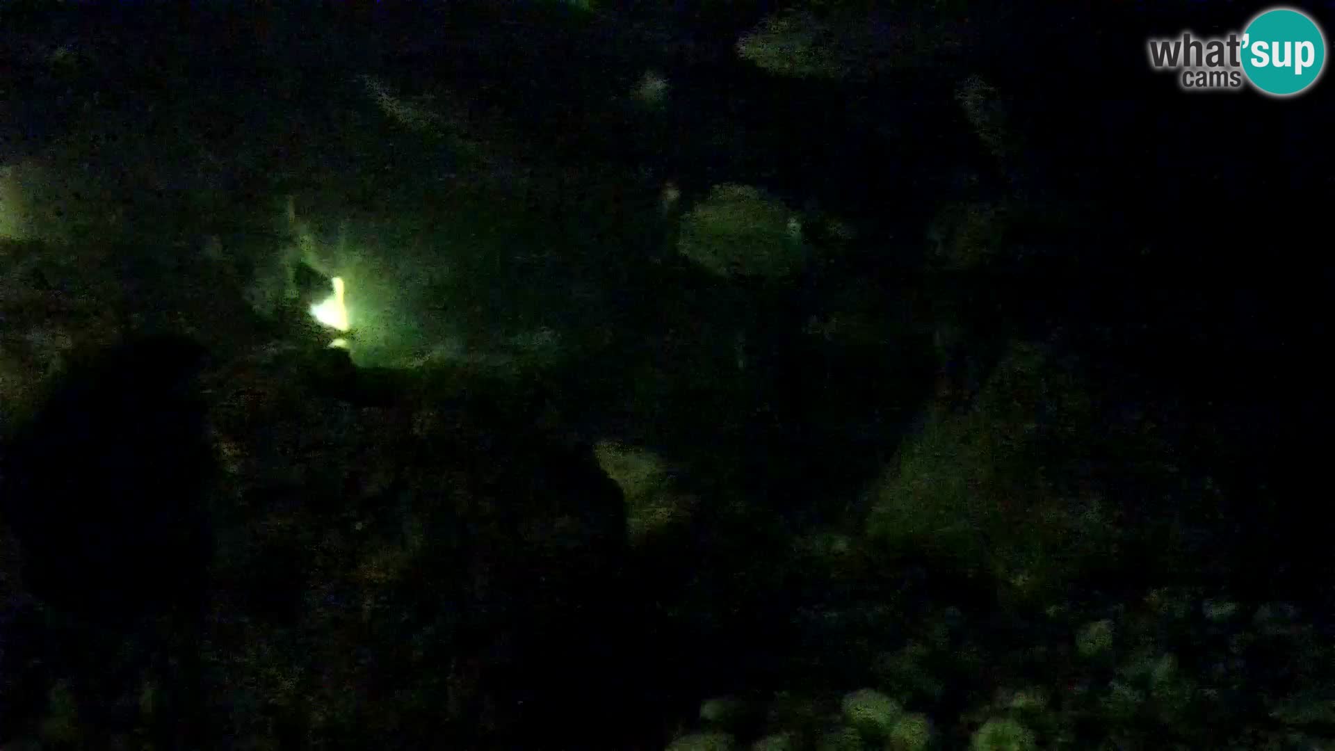 Outdoor Marine Aquarium Rogoznica webcam Croatia