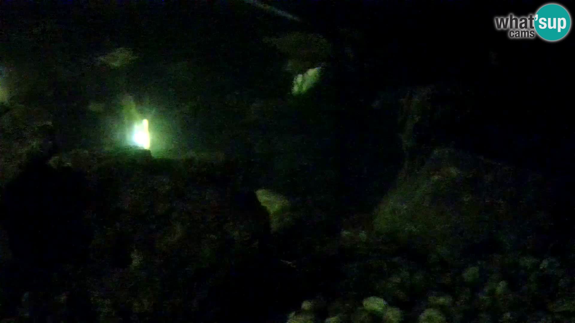 Zunanji morski akvarij Rogoznica spletna kamera Hrvaška