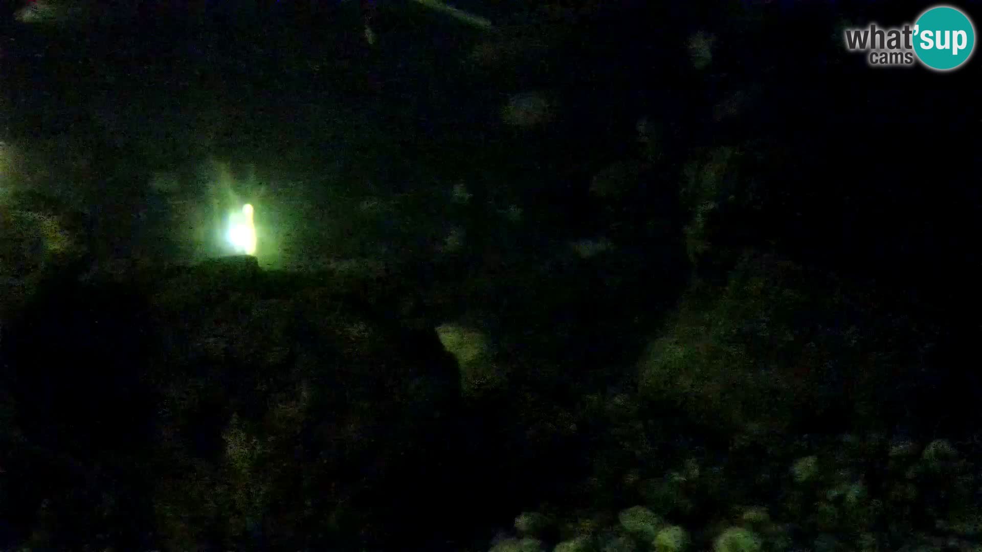 Outdoor Marine Aquarium Rogoznica webcam Croatia