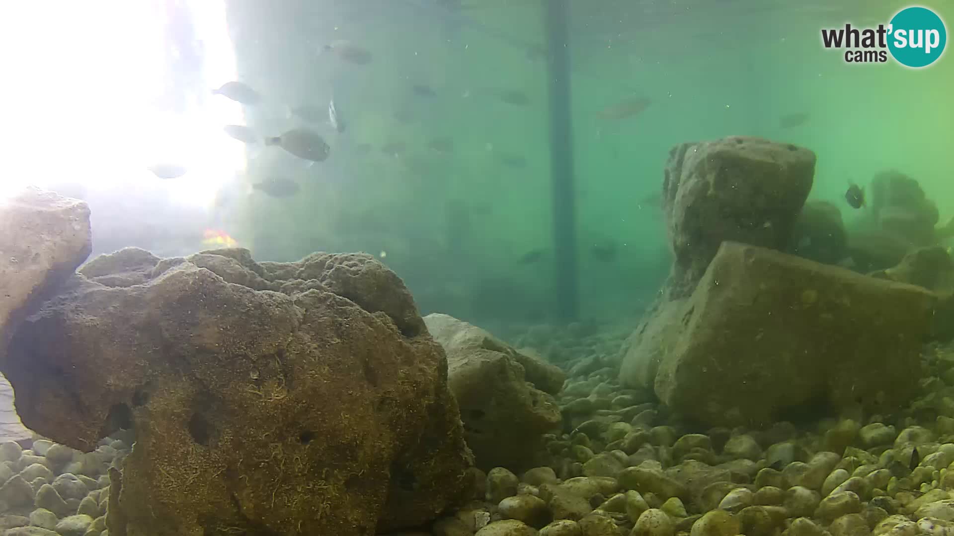 Marine Aquarium im Freien Rogoznica webcam Kroatien