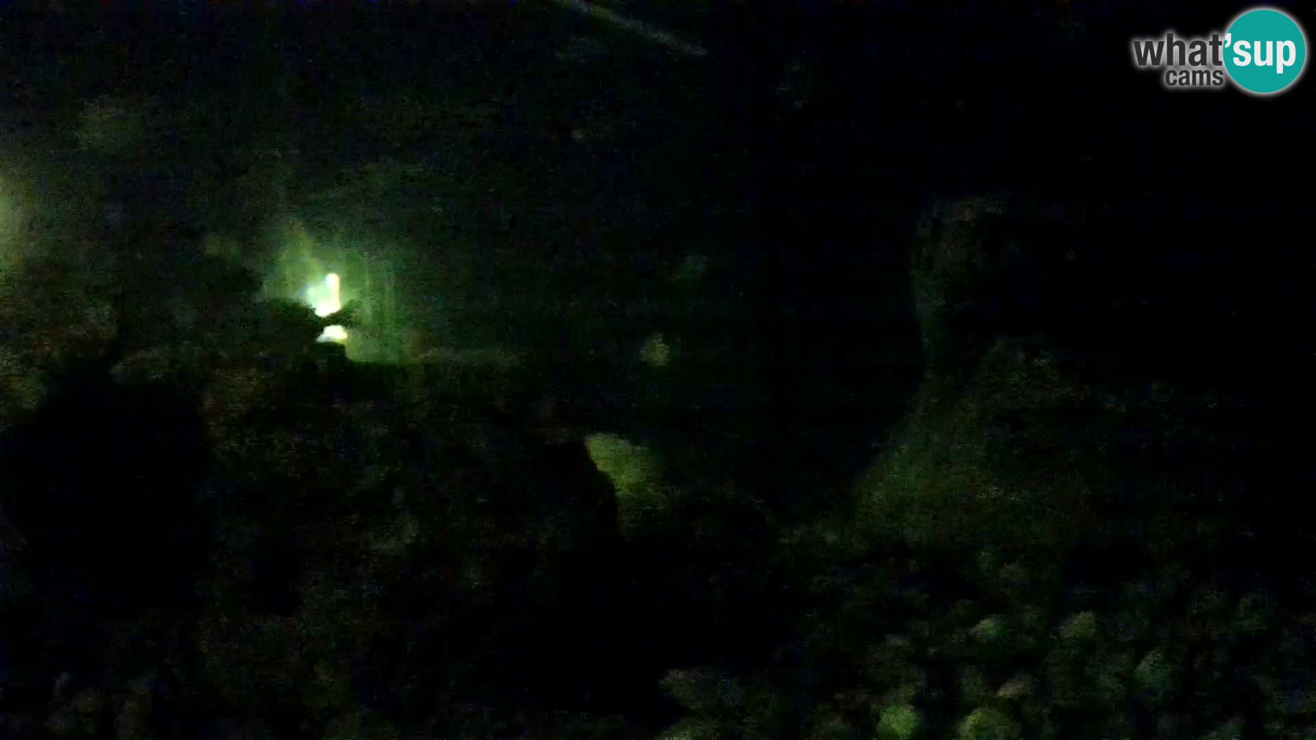 Aquario marino esterno –  Rogoznica livecam Croazia