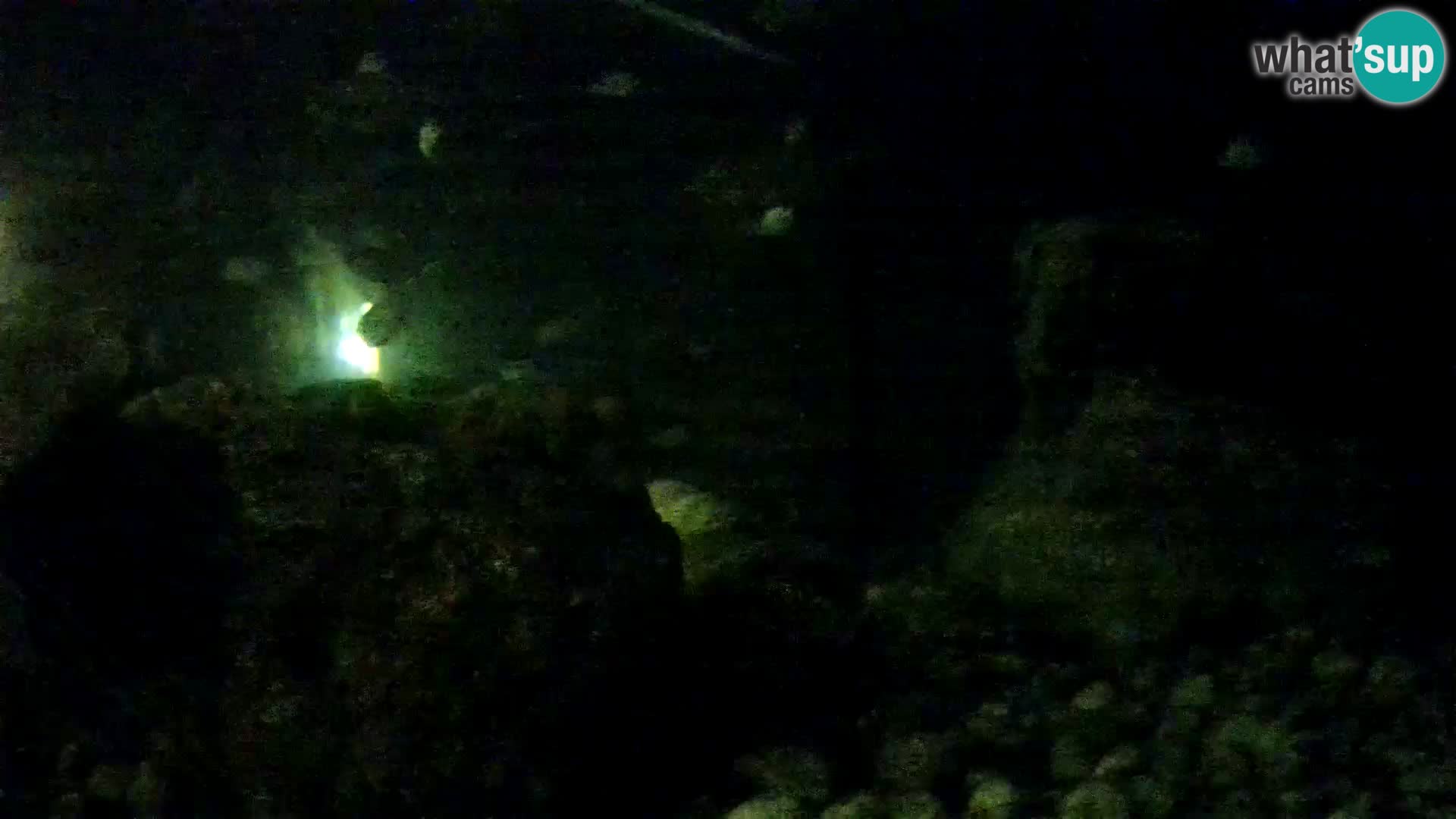 Outdoor Marine Aquarium Rogoznica webcam Croatia