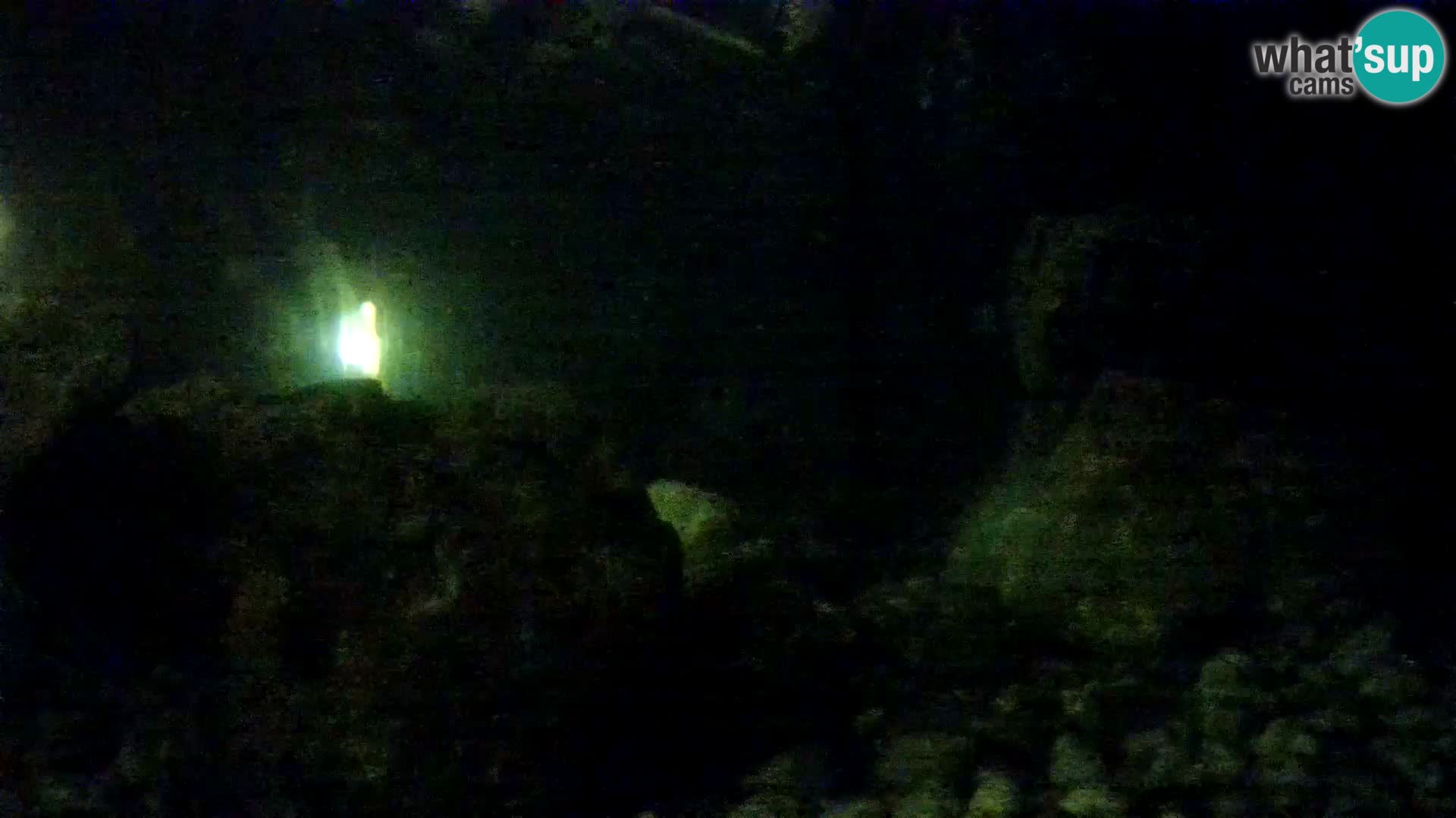 Aquario marino esterno –  Rogoznica livecam Croazia