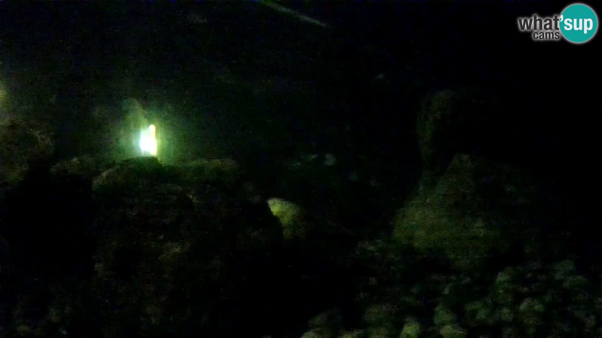 Marine Aquarium im Freien Rogoznica webcam Kroatien