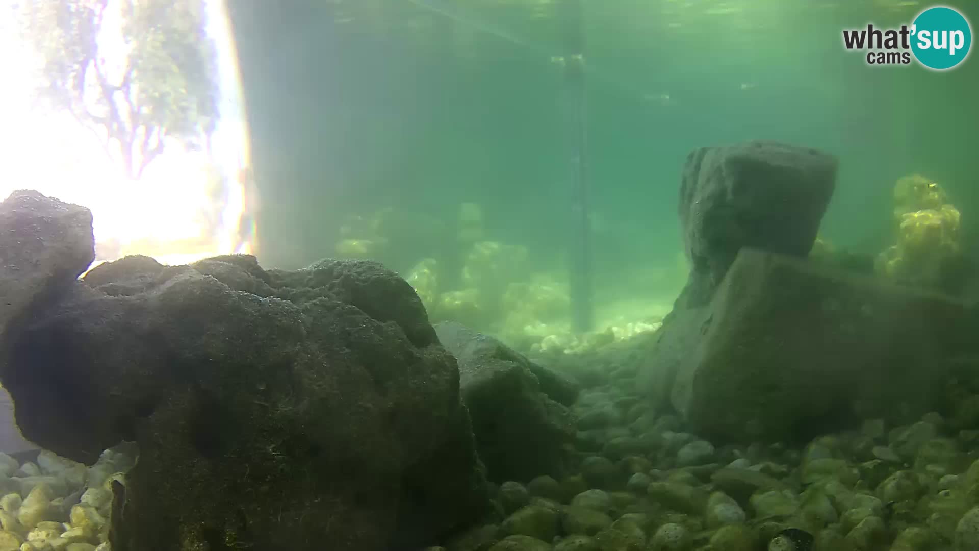 Webcam de l’aquarium marin extérieur de Rogoznica Croatie