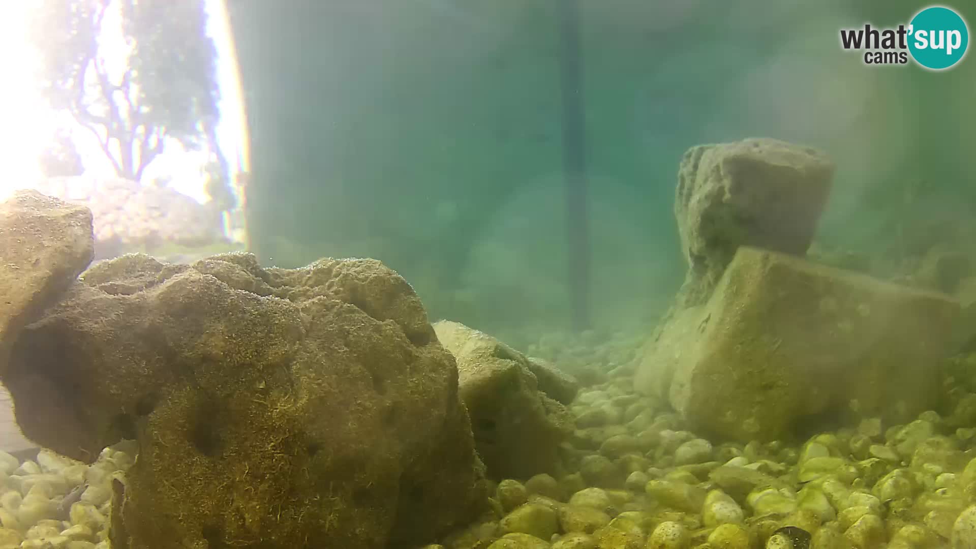 Webcam de l’aquarium marin extérieur de Rogoznica Croatie