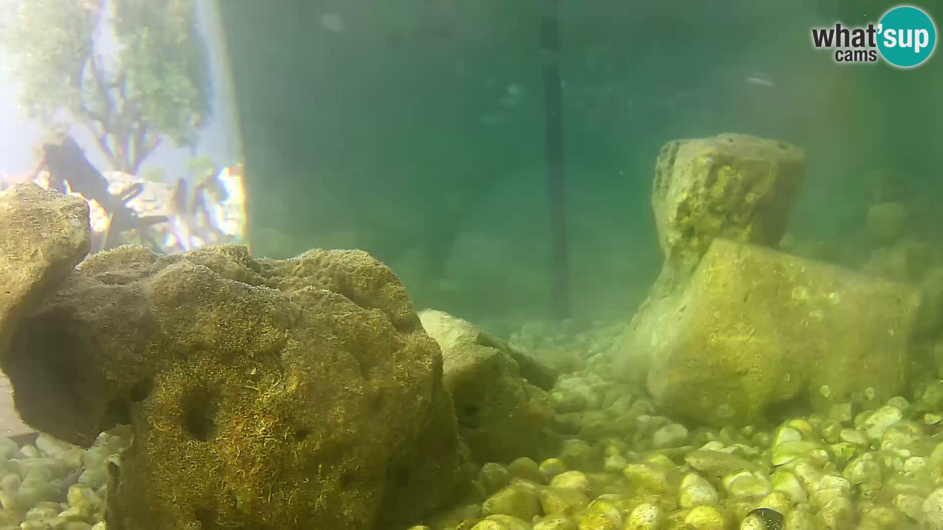 Marine Aquarium im Freien Rogoznica webcam Kroatien