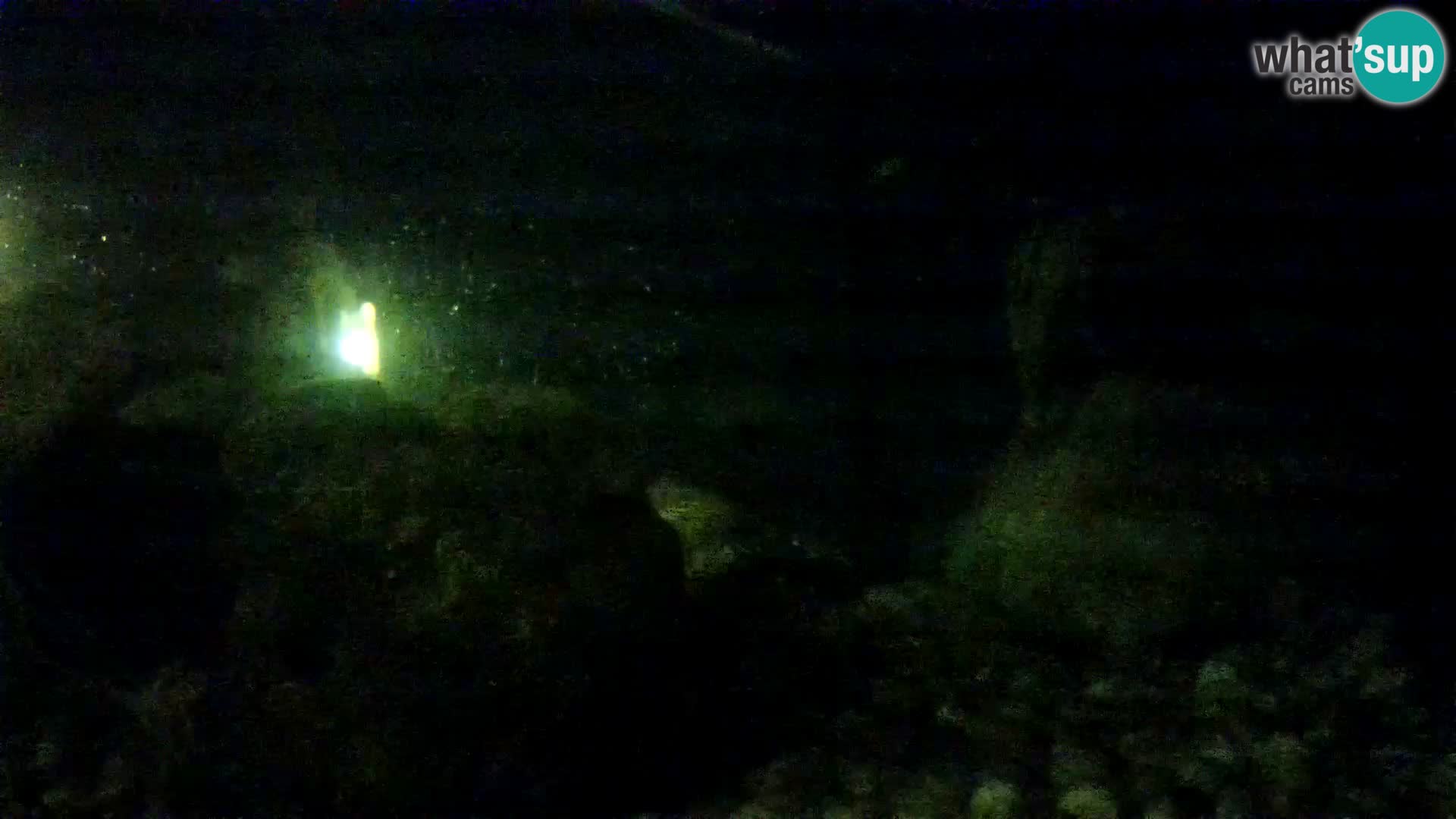 Aquario marino esterno –  Rogoznica livecam Croazia