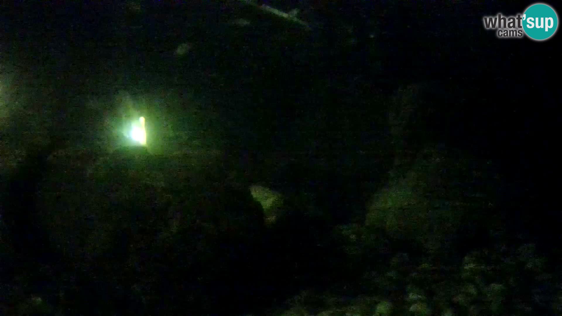 Marine Aquarium im Freien Rogoznica webcam Kroatien