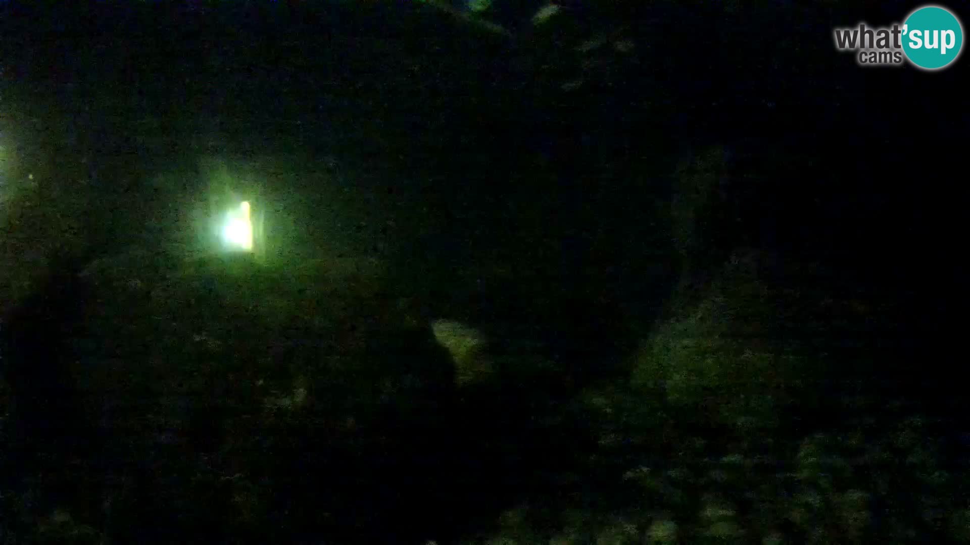 Zunanji morski akvarij Rogoznica spletna kamera Hrvaška