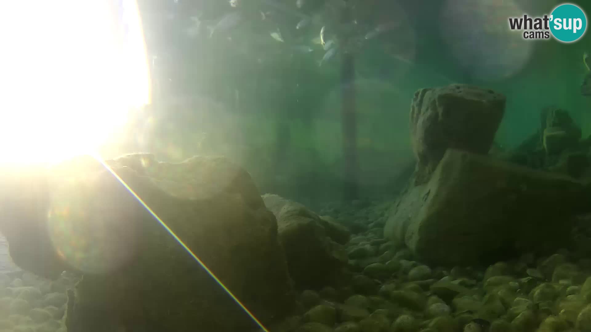 Marine Aquarium im Freien Rogoznica webcam Kroatien