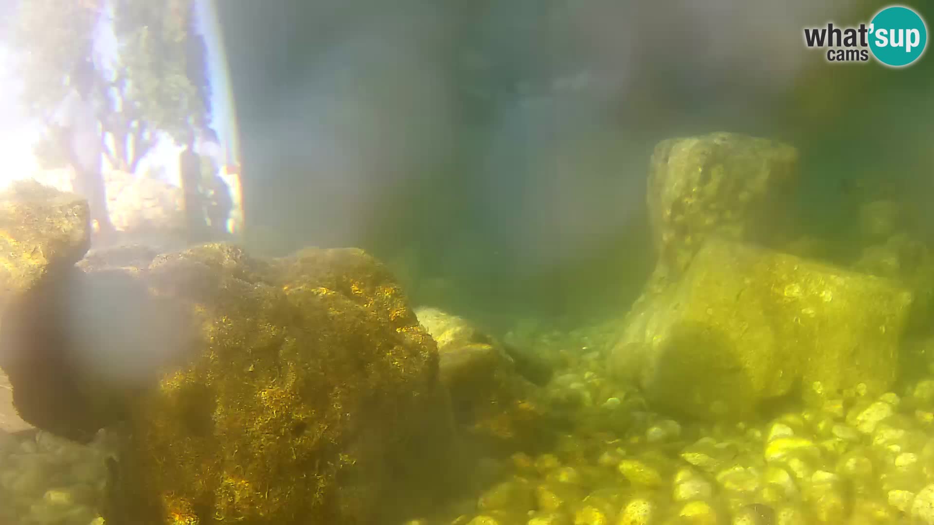 Outdoor Marine Aquarium Rogoznica webcam Croatia