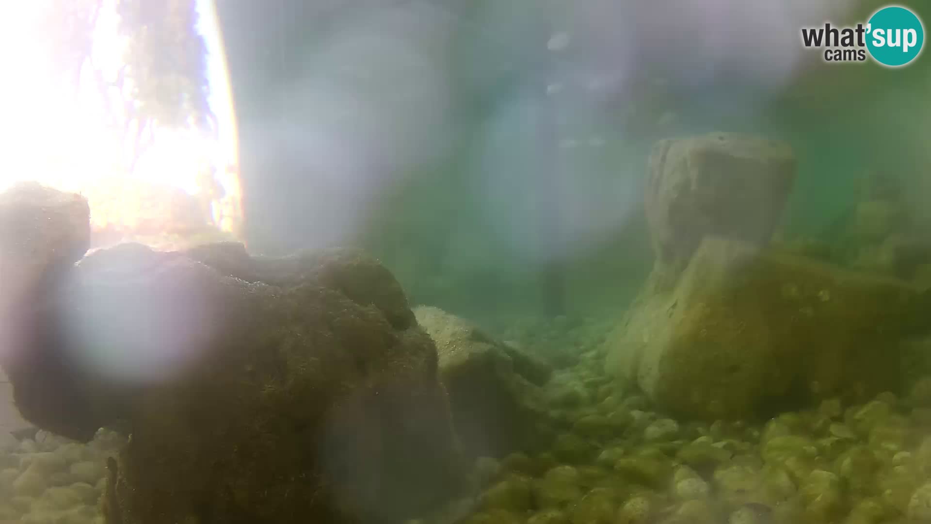 Outdoor Marine Aquarium Rogoznica webcam Croatia