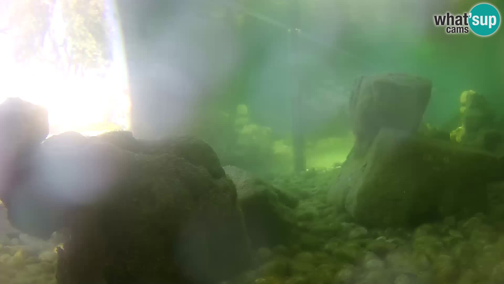 Zunanji morski akvarij Rogoznica spletna kamera Hrvaška