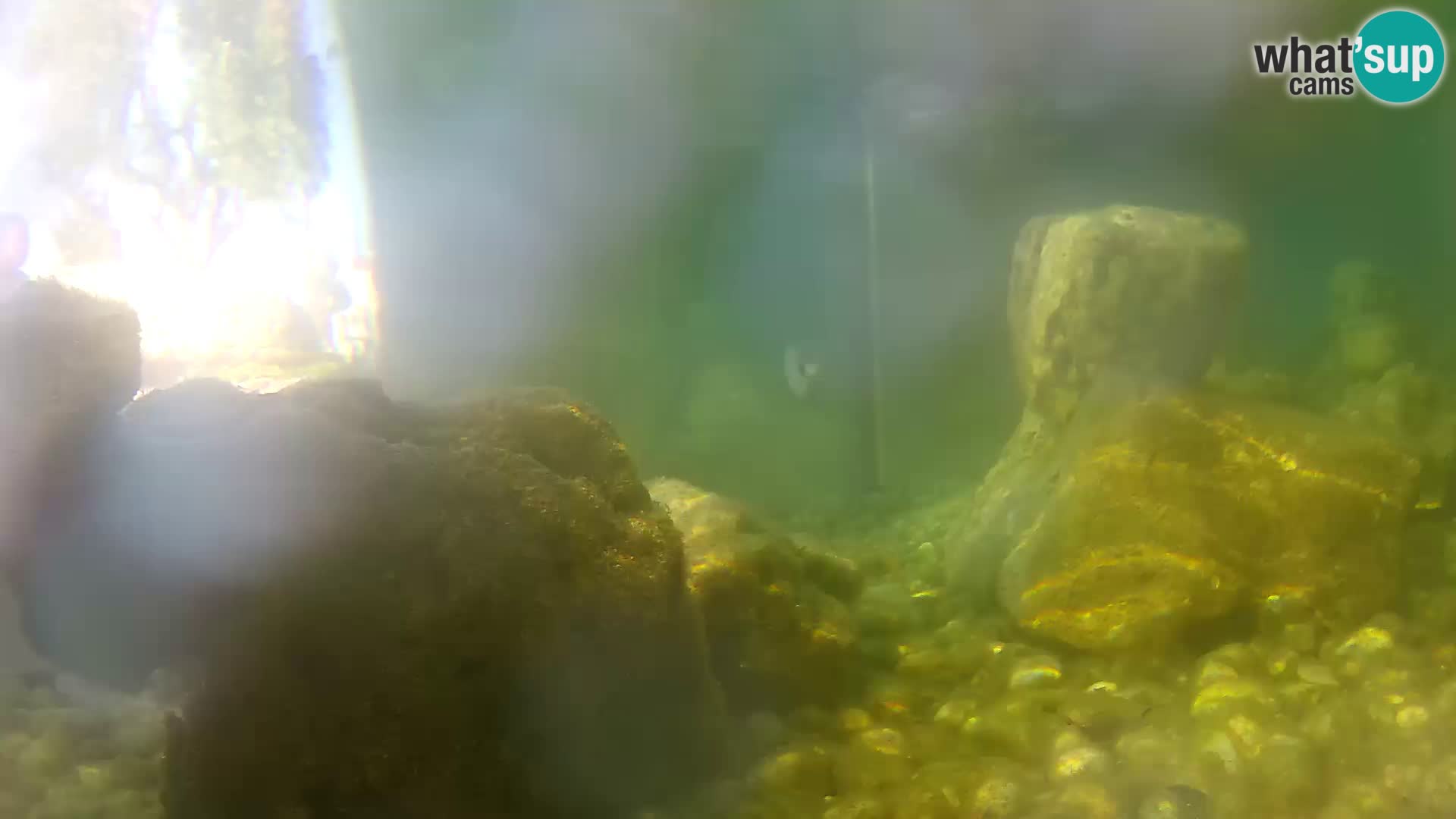 Zunanji morski akvarij Rogoznica spletna kamera Hrvaška