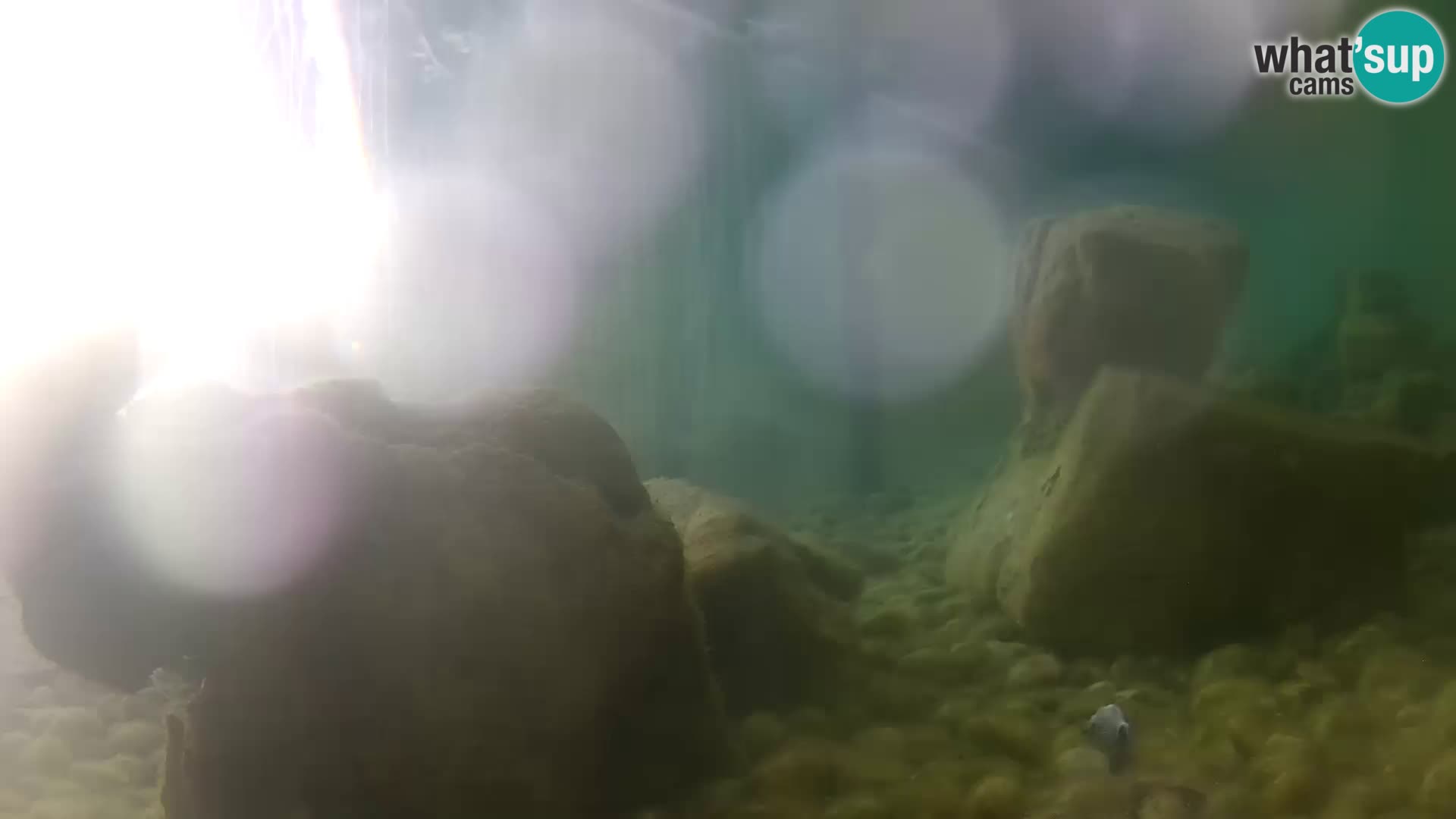 Outdoor Marine Aquarium Rogoznica webcam Croatia