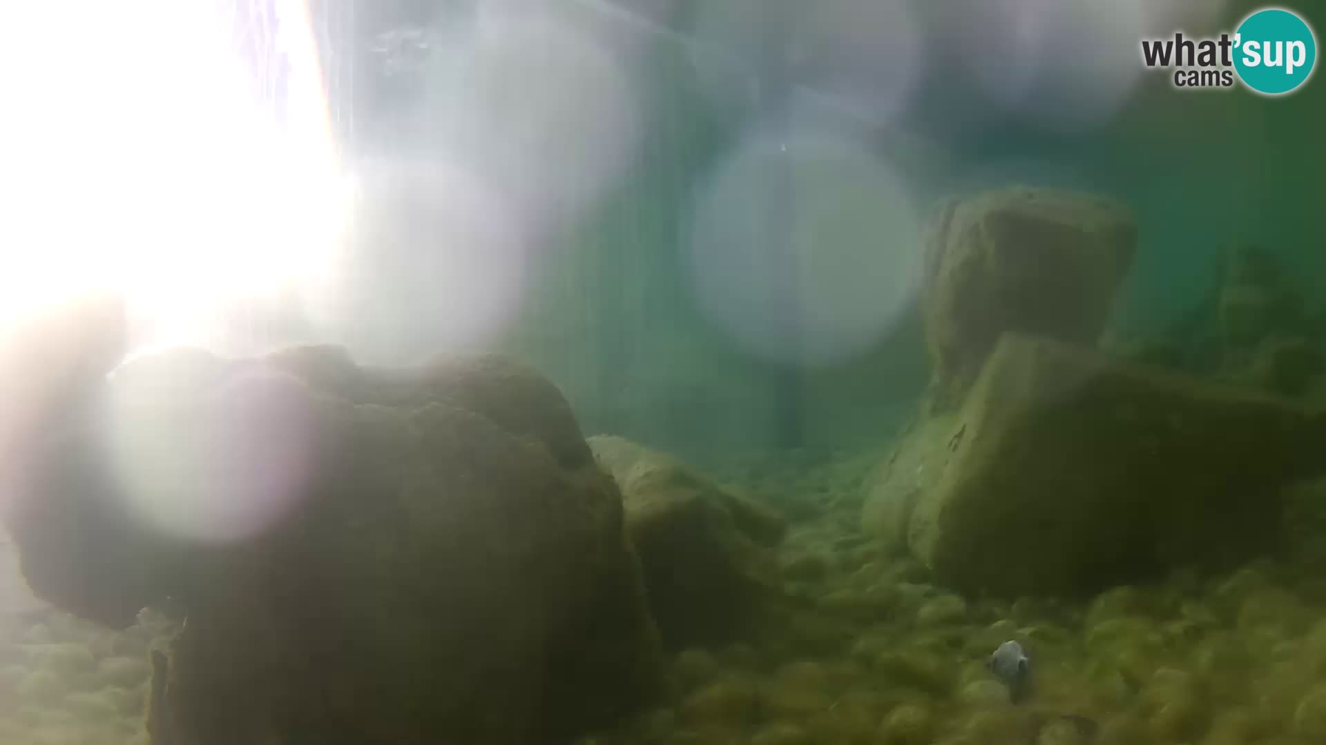 Marine Aquarium im Freien Rogoznica webcam Kroatien