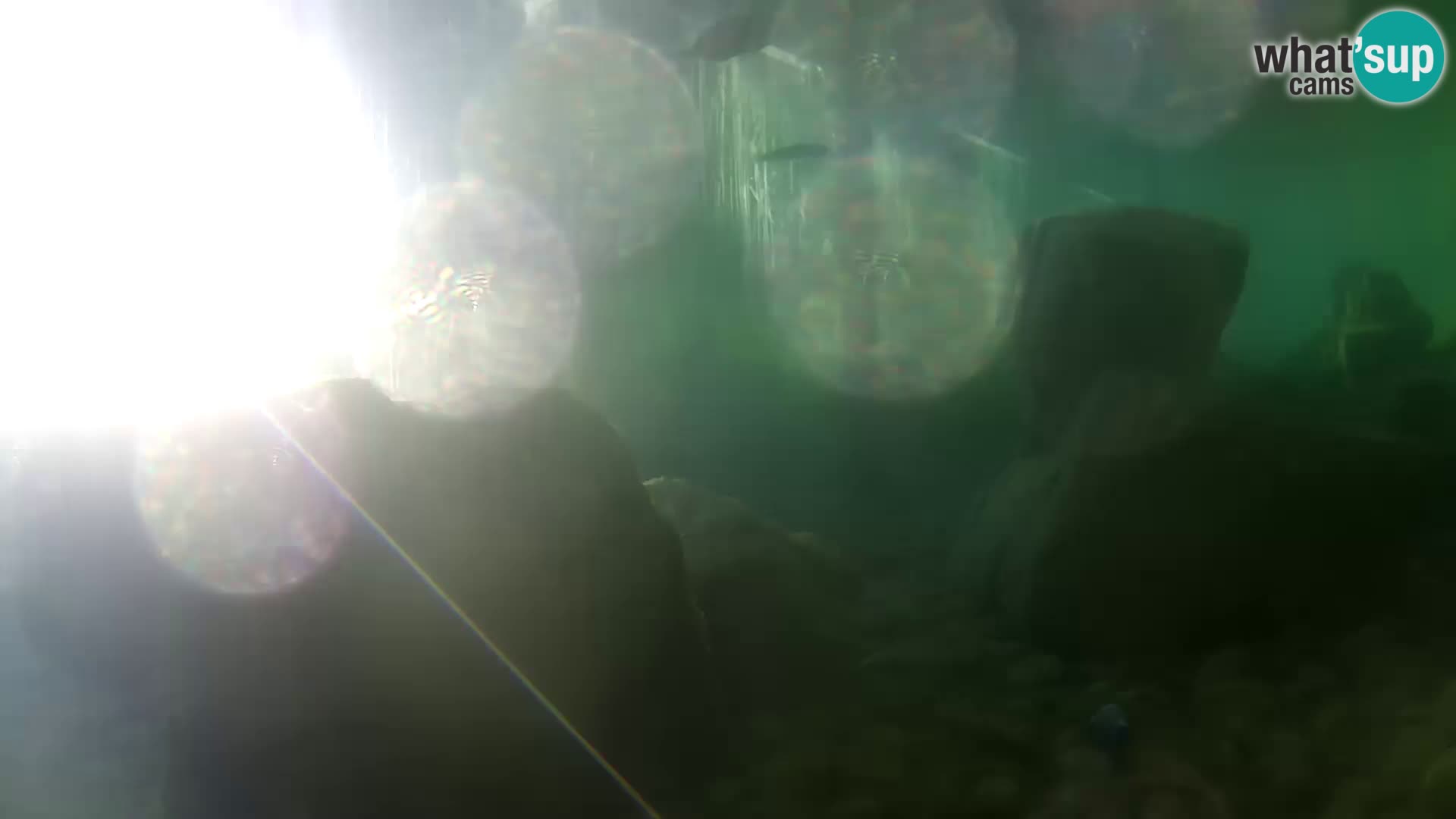 Outdoor Marine Aquarium Rogoznica webcam Croatia