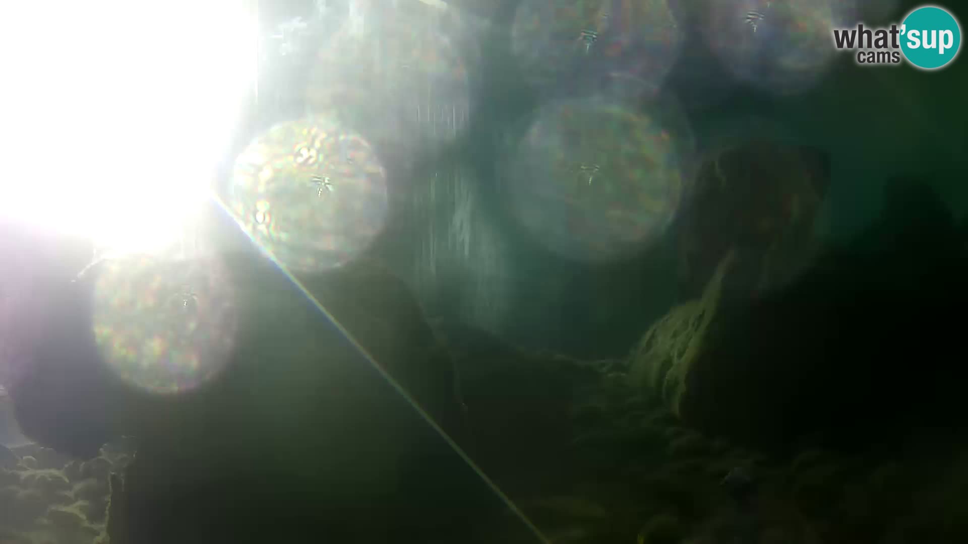 Marine Aquarium im Freien Rogoznica webcam Kroatien