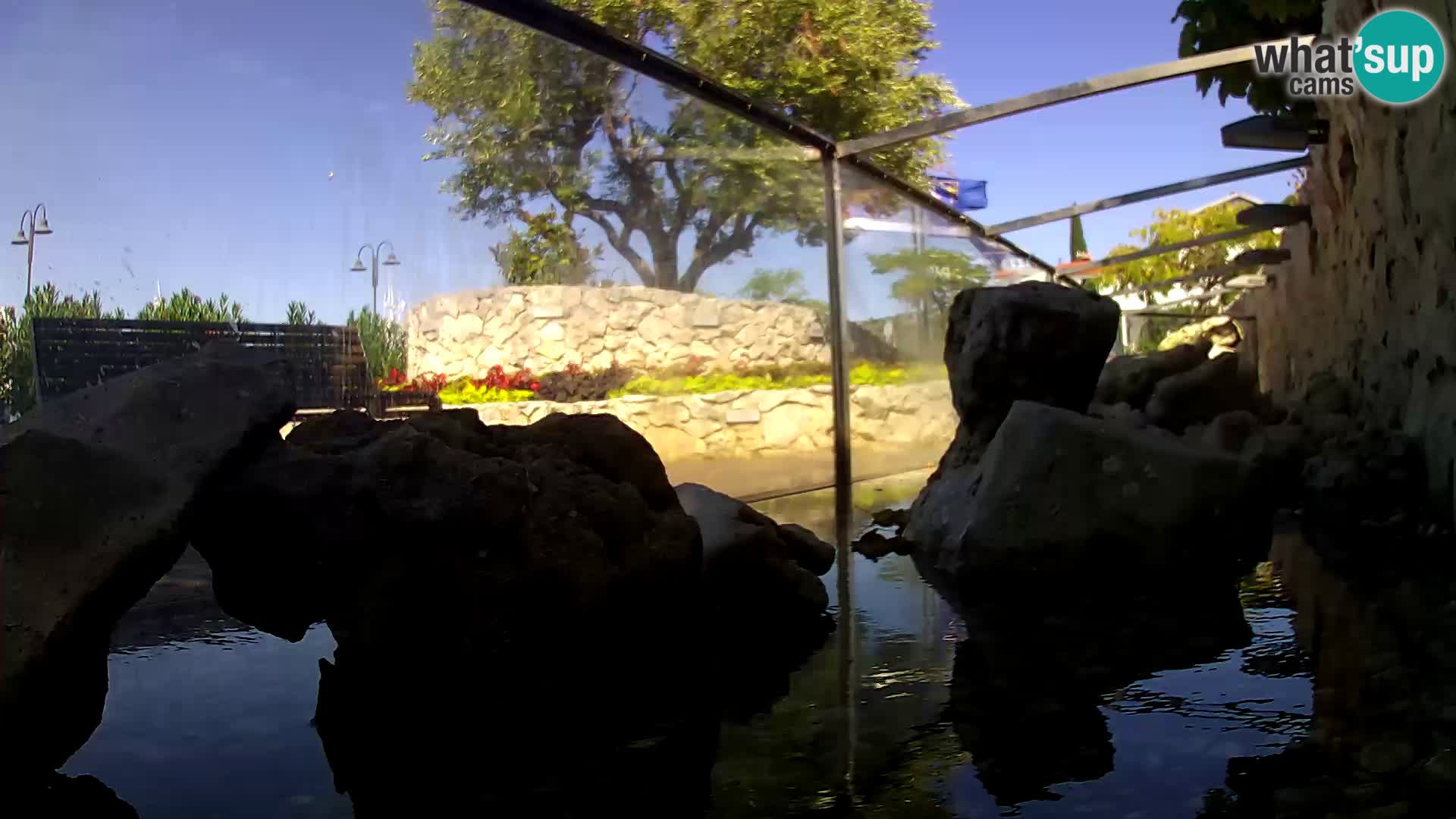 Marine Aquarium im Freien Rogoznica webcam Kroatien