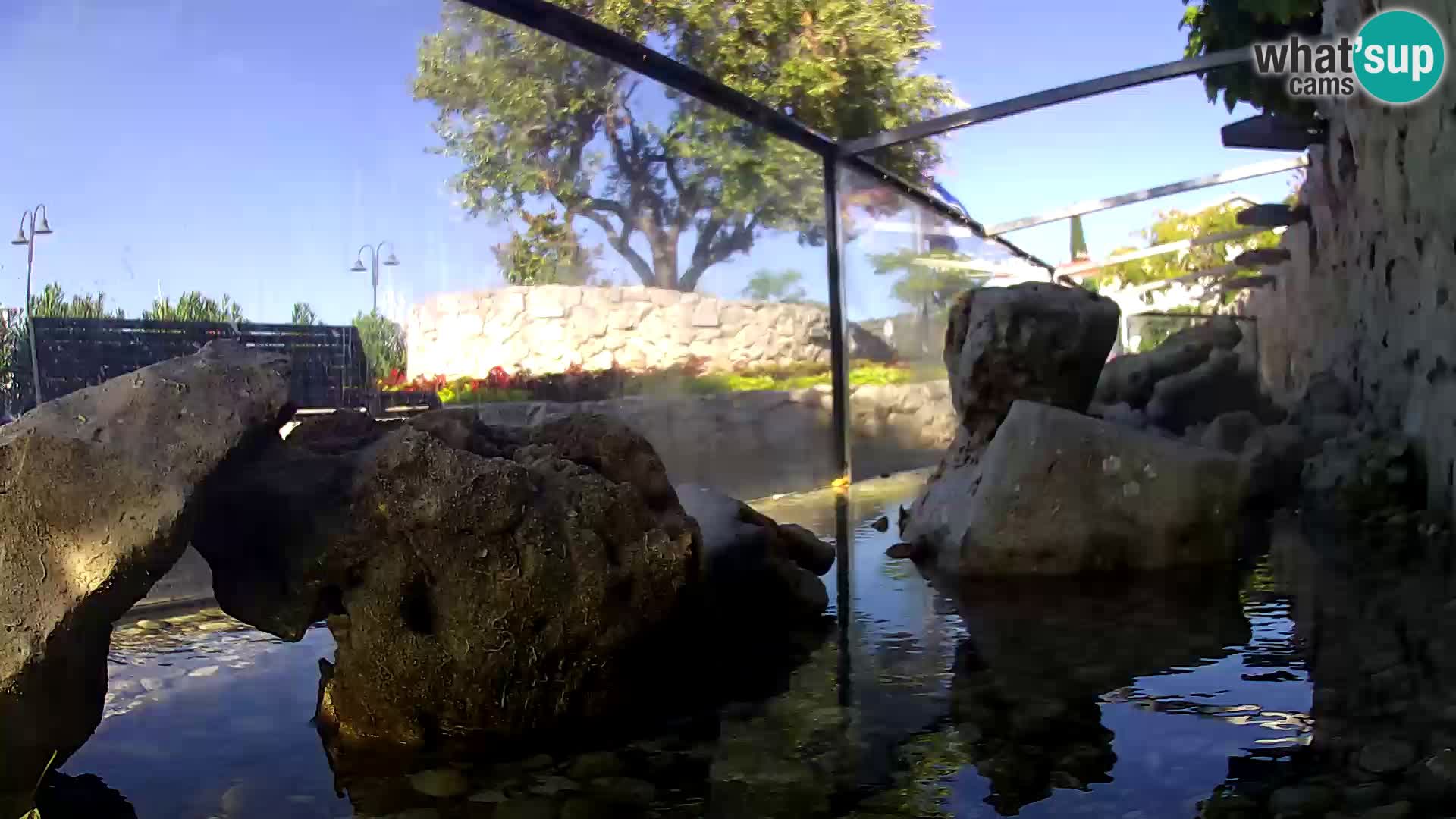 Marine Aquarium im Freien Rogoznica webcam Kroatien