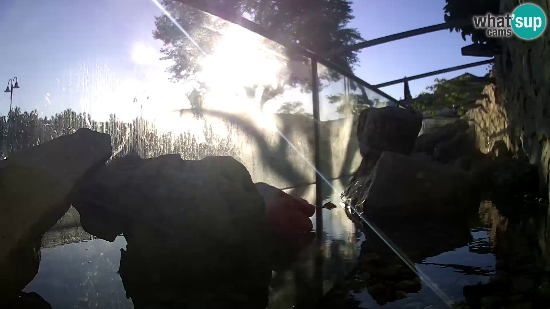 Outdoor Marine Aquarium Rogoznica webcam Croatia