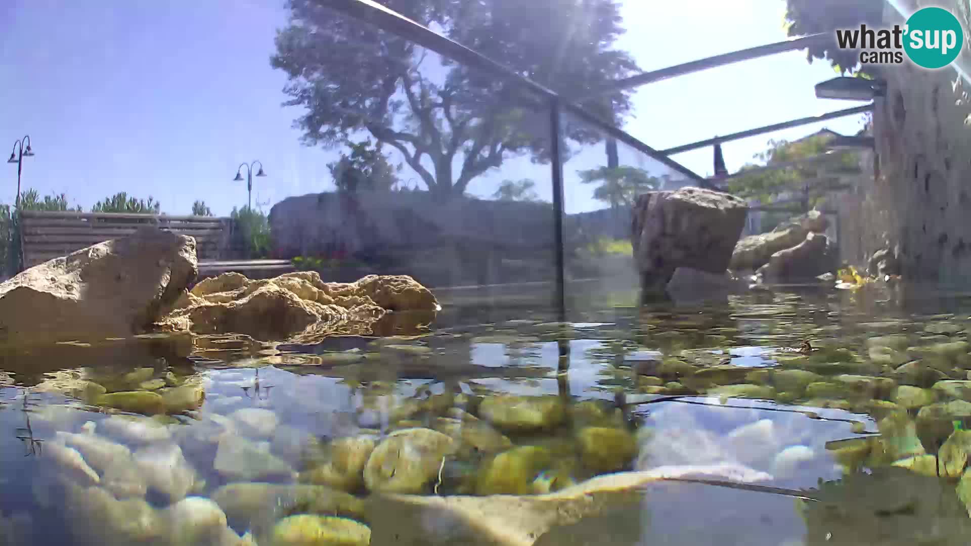 Aquario marino esterno –  Rogoznica livecam Croazia
