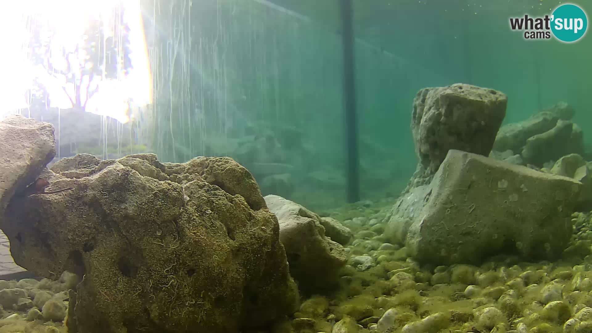 Outdoor Marine Aquarium Rogoznica webcam Croatia
