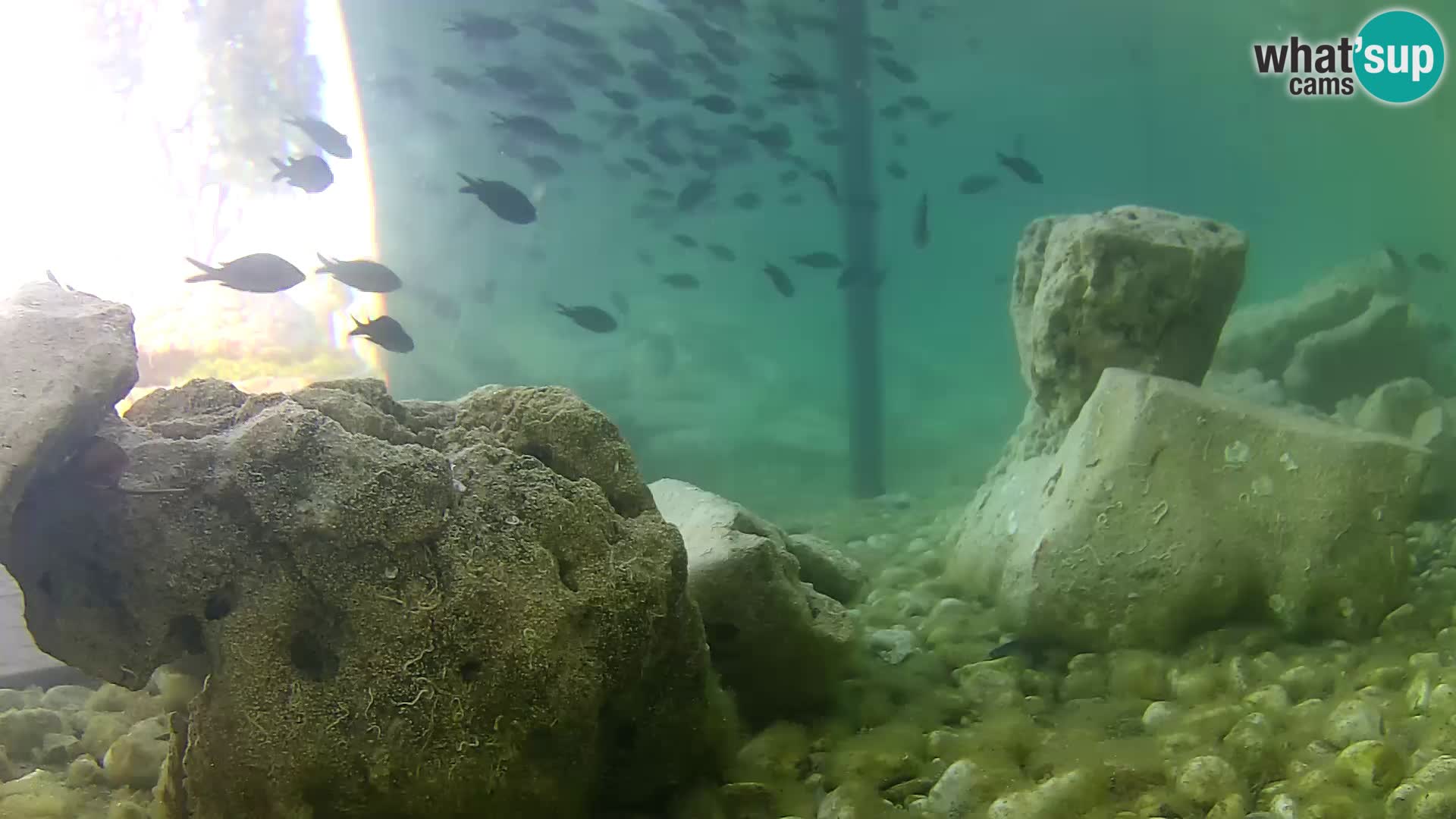 Marine Aquarium im Freien Rogoznica webcam Kroatien