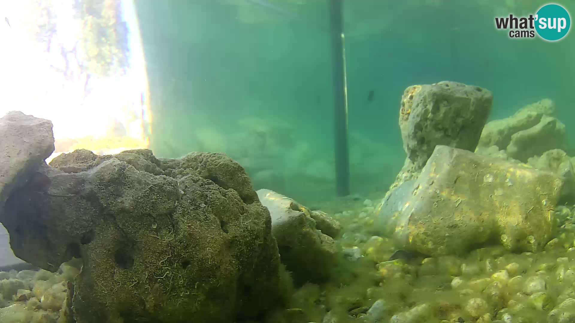 Marine Aquarium im Freien Rogoznica webcam Kroatien