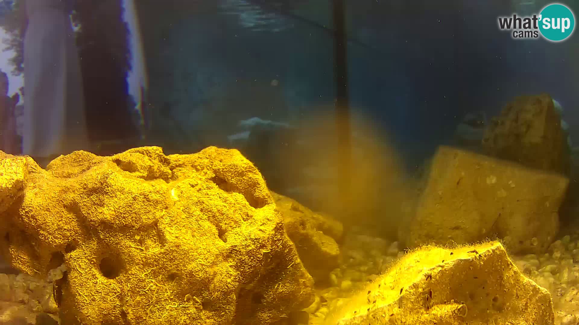 Marine Aquarium im Freien Rogoznica webcam Kroatien