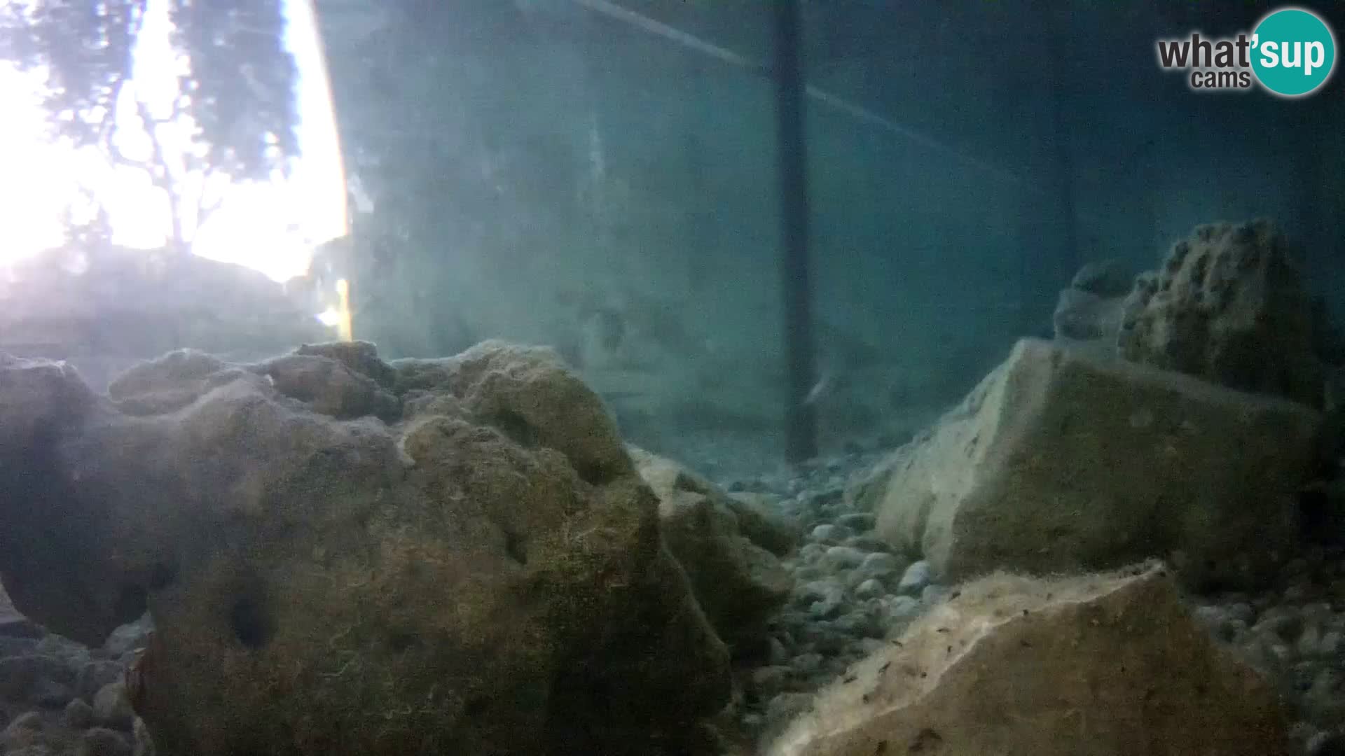 Marine Aquarium im Freien Rogoznica webcam Kroatien