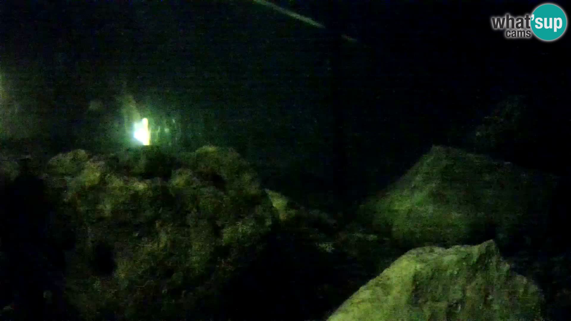 Aquario marino esterno – Rogoznica livecam Croazia