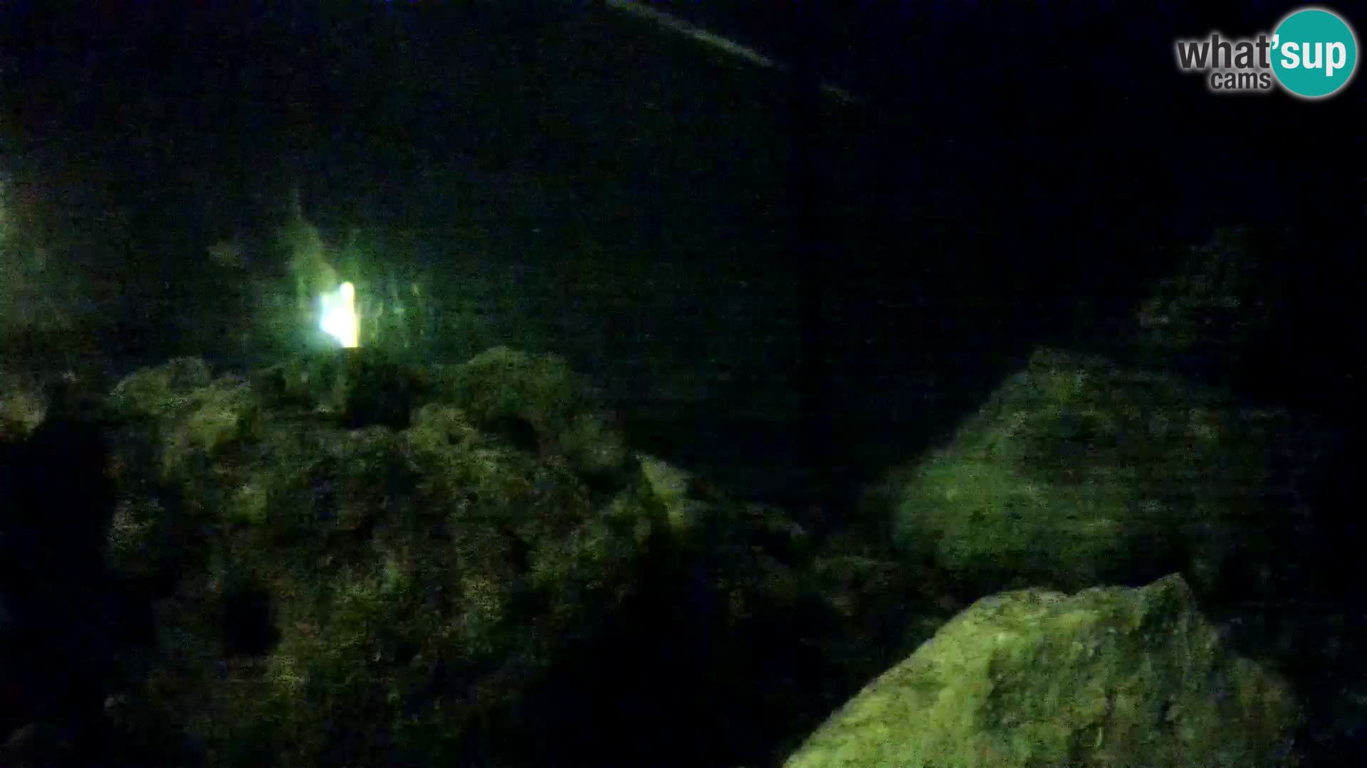 Aquario marino esterno –  Rogoznica livecam Croazia