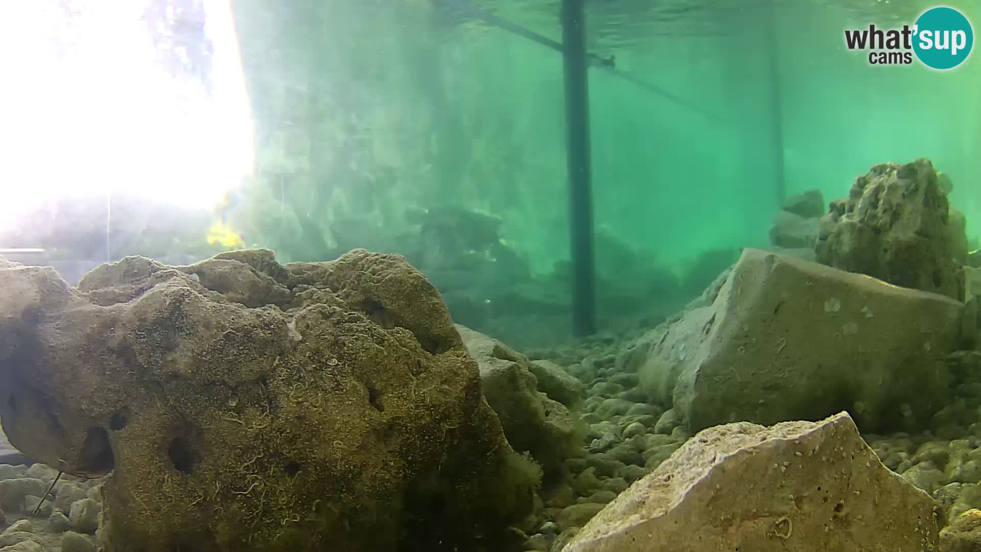 Marine Aquarium im Freien Rogoznica webcam Kroatien