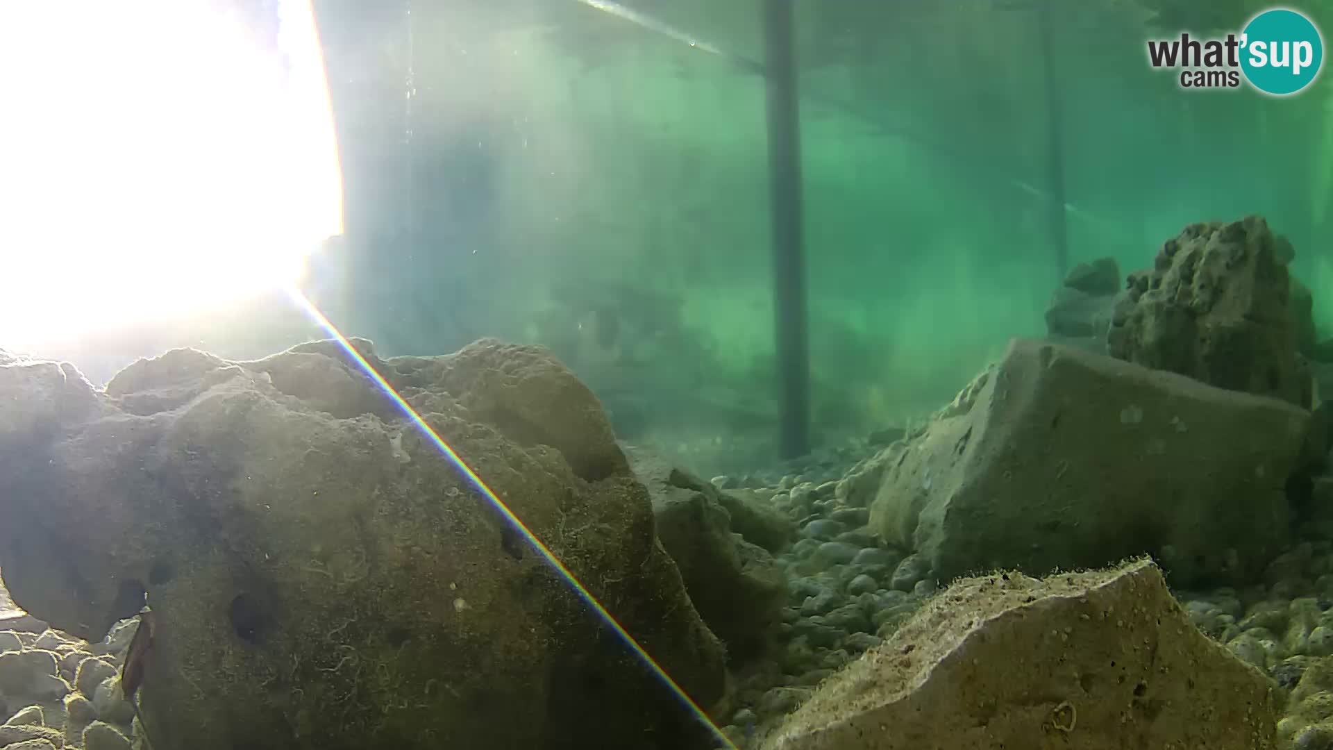 Outdoor Marine Aquarium Rogoznica webcam Croatia