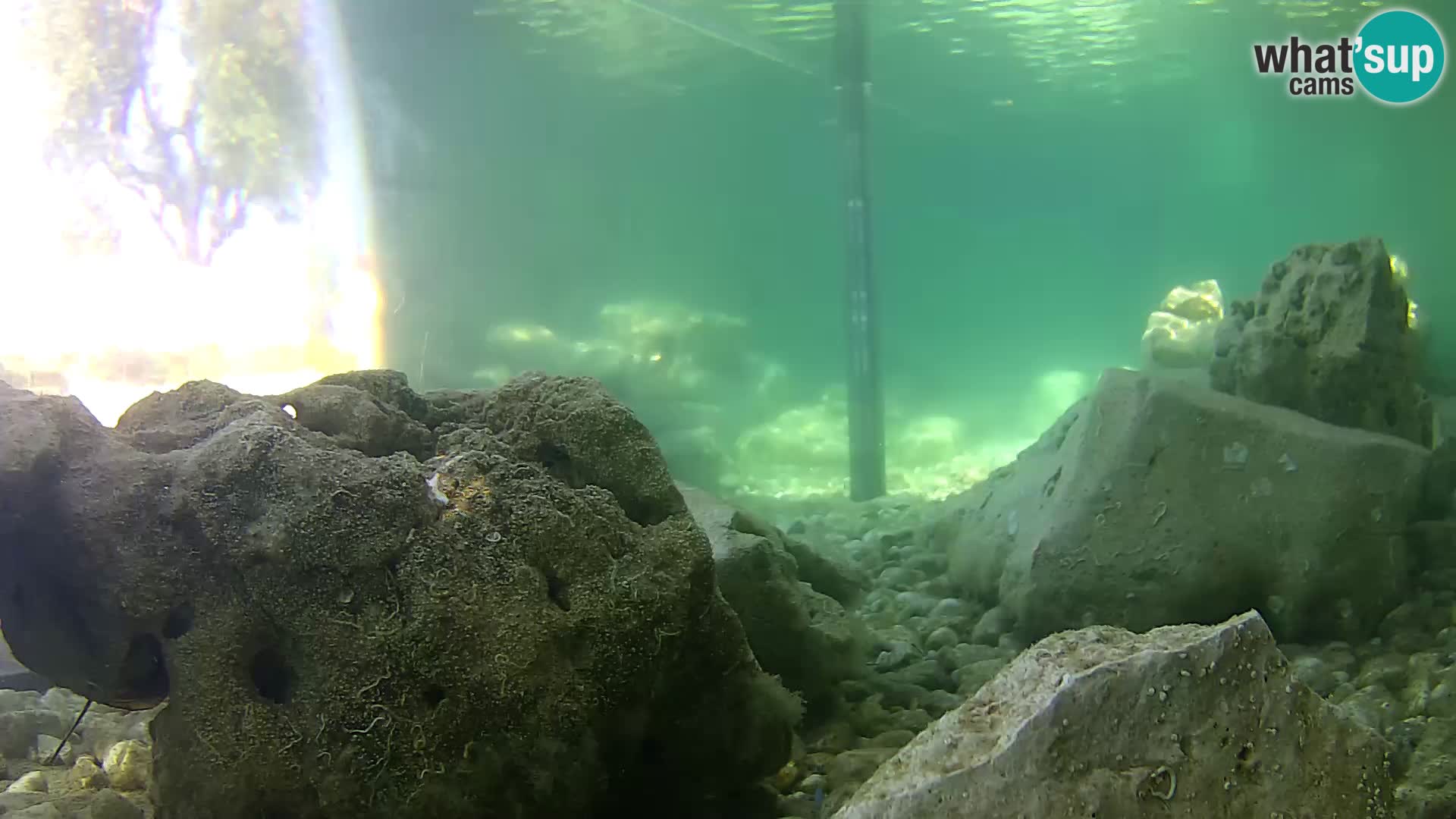 Marine Aquarium im Freien Rogoznica webcam Kroatien
